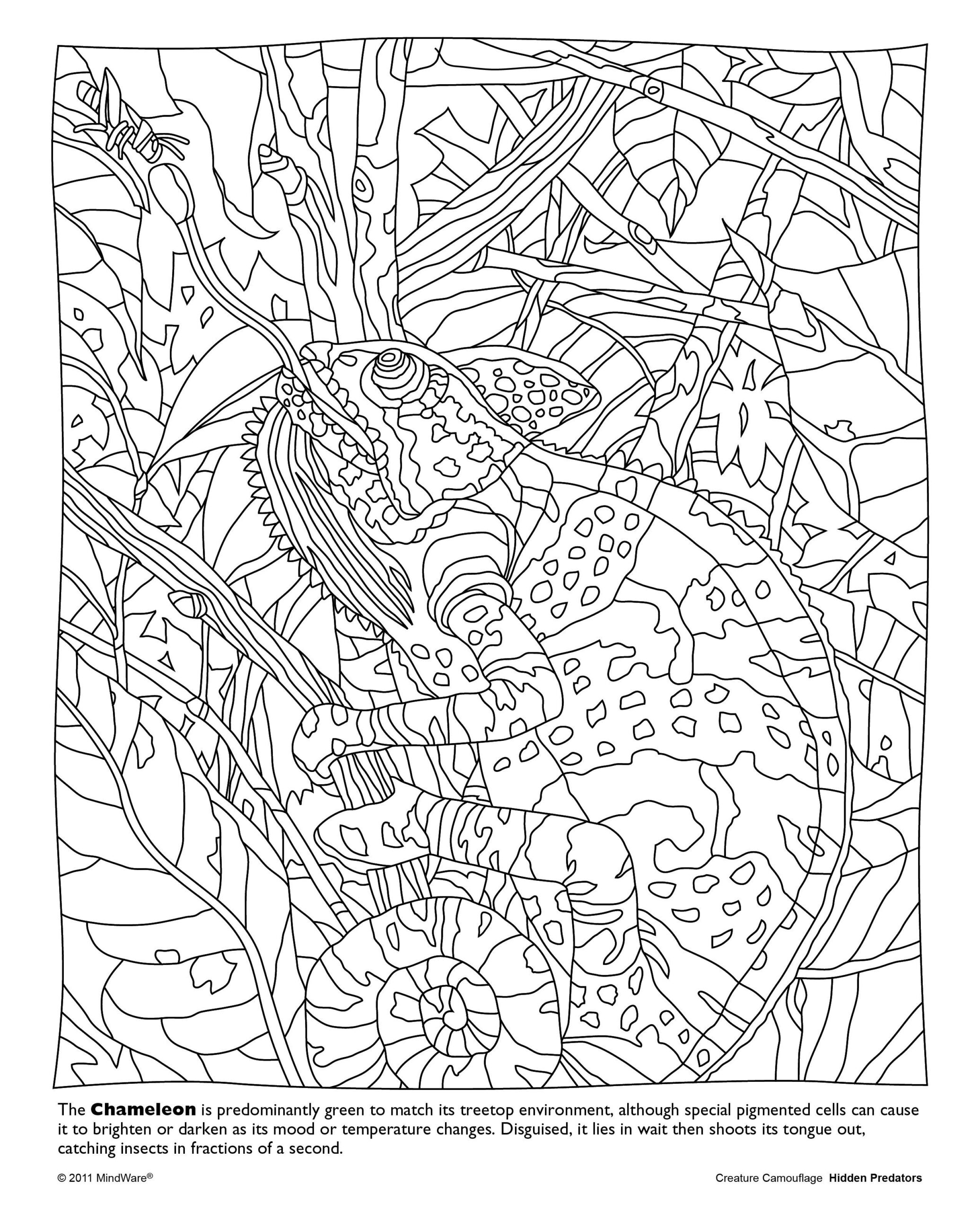 Animal Camouflage Coloring Pages Printable Coloring For Kids