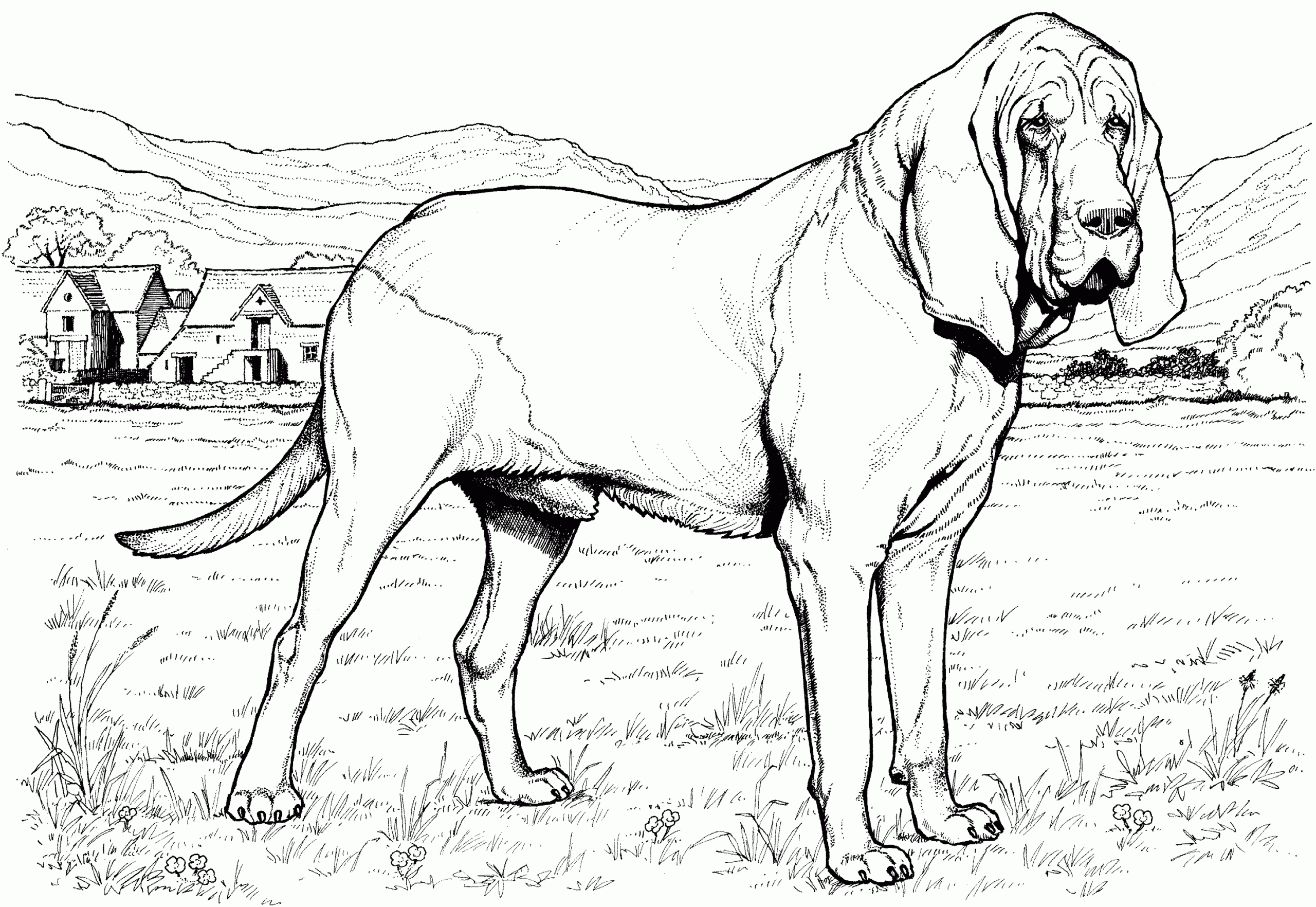 Animal Printable Realistic Dog Coloring Pages Coloring Tone Coloring Home