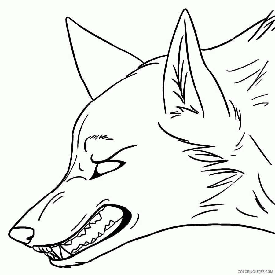 Wolf Coloring Pages Printable Anime