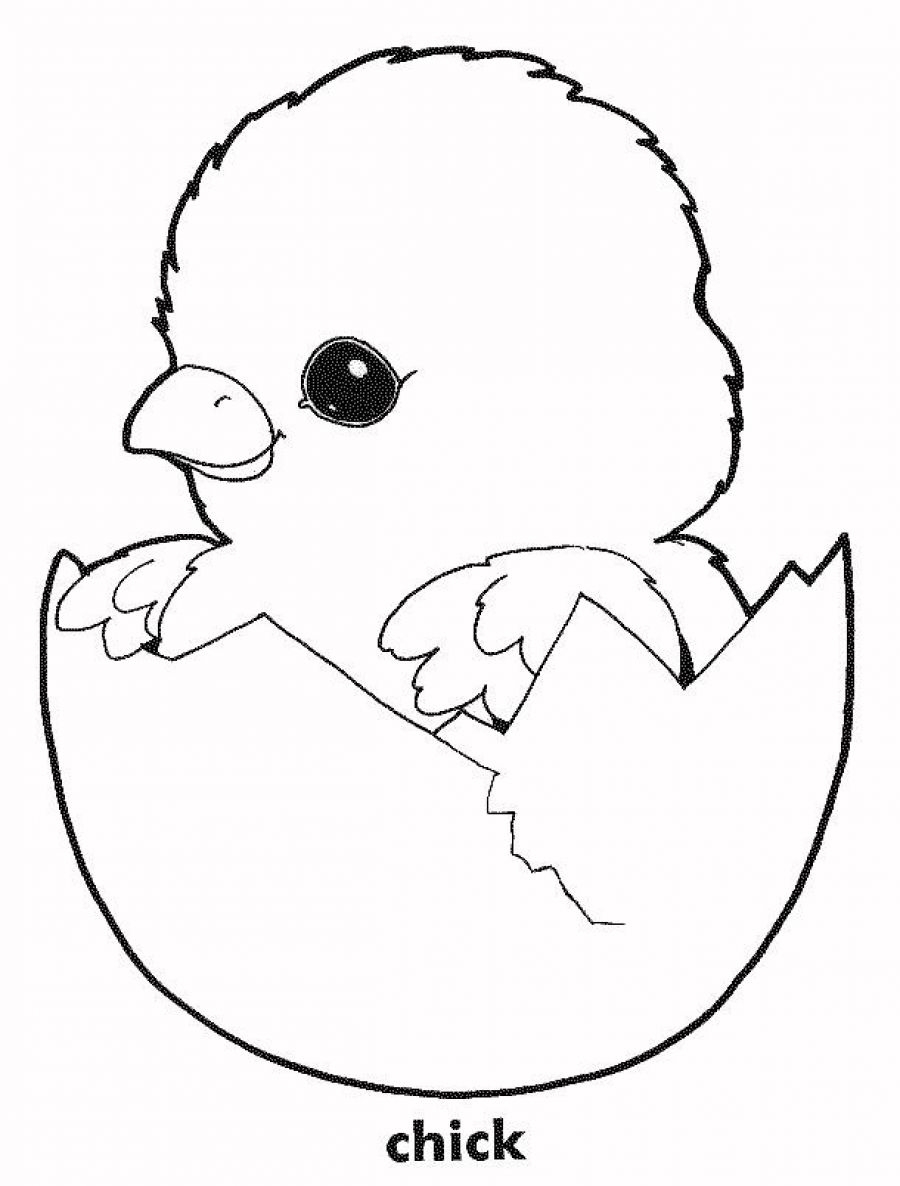 Baby Chicks Coloring Pages For Kids Coloring Walls
