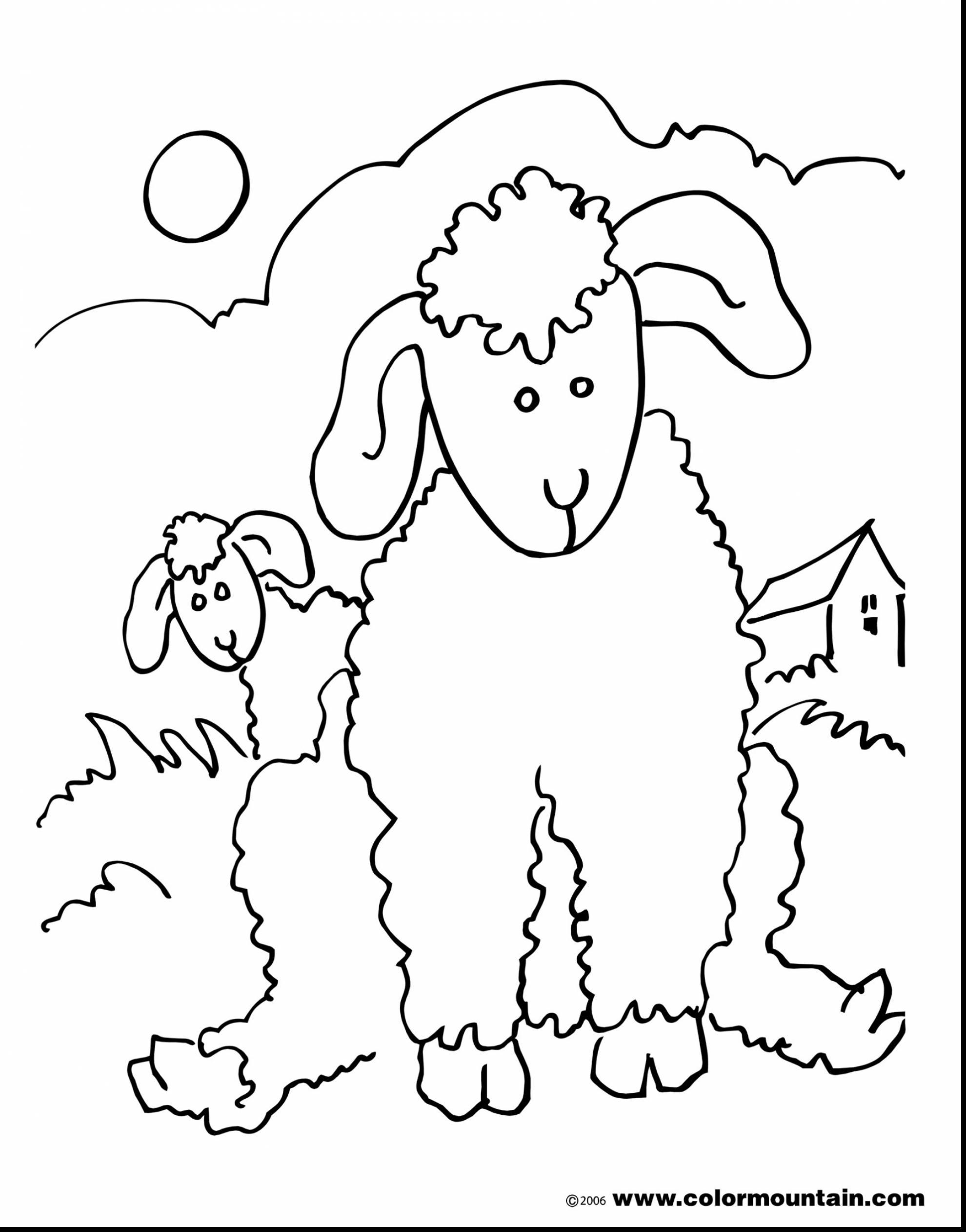 Baby Lamb Coloring Pages At GetDrawings Free Download