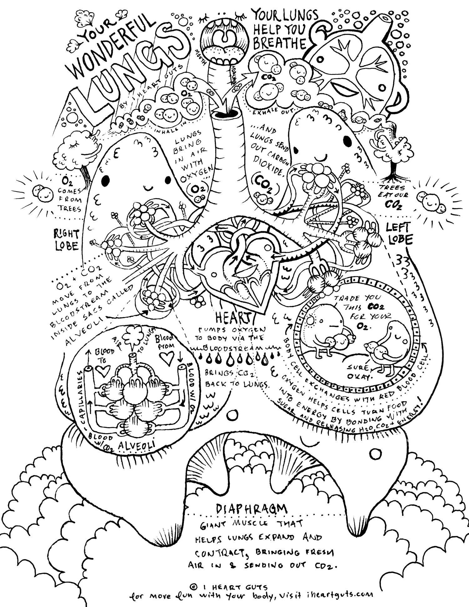 Biology Coloring Pages Free