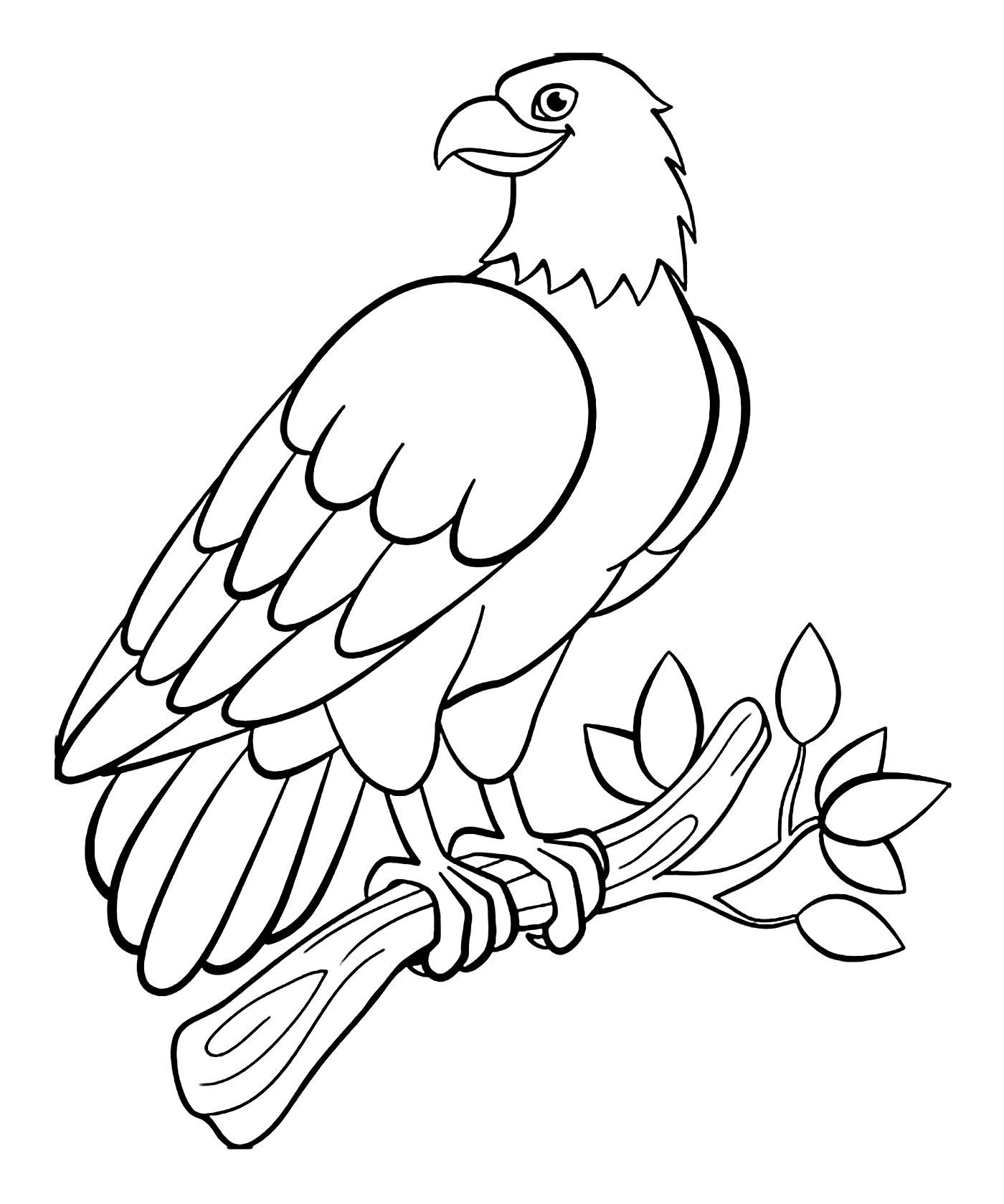 Bird Pages For Preschoolers Coloring Pages