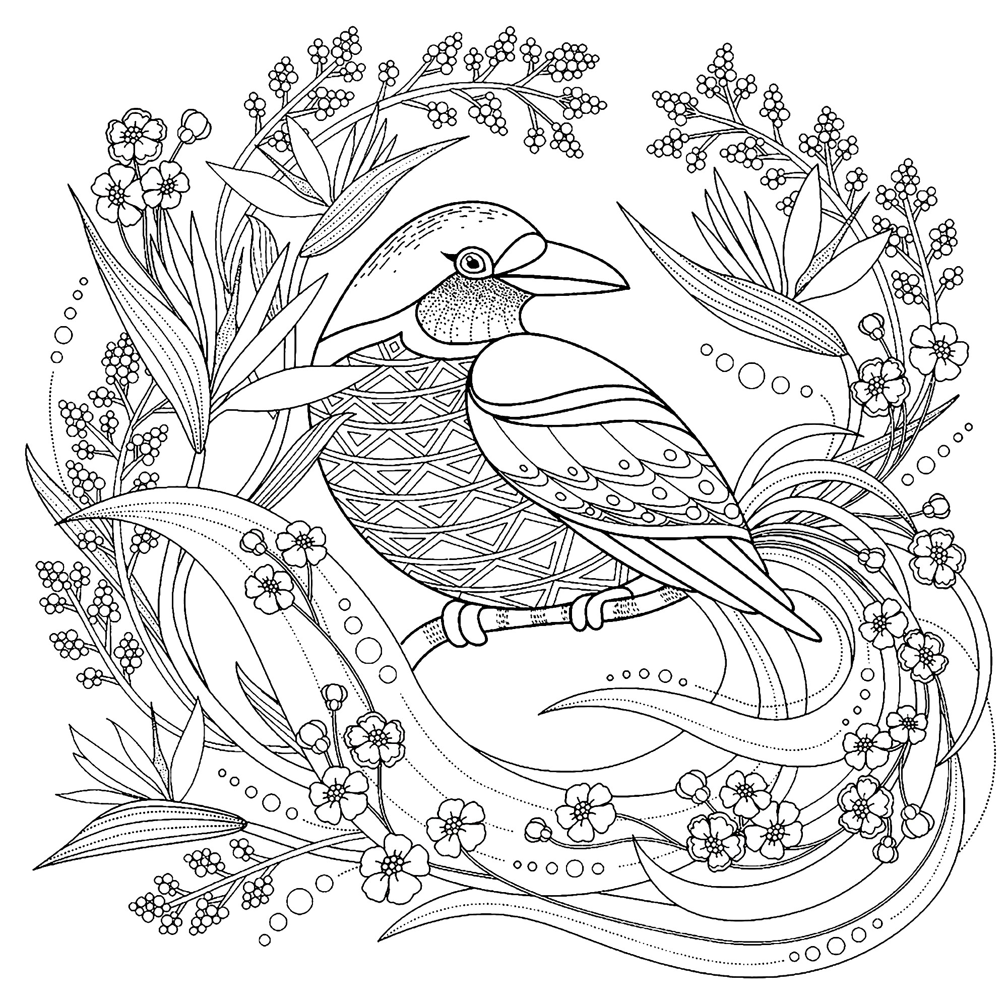 Bird With Floral Elements Bird Coloring Pages For Adults