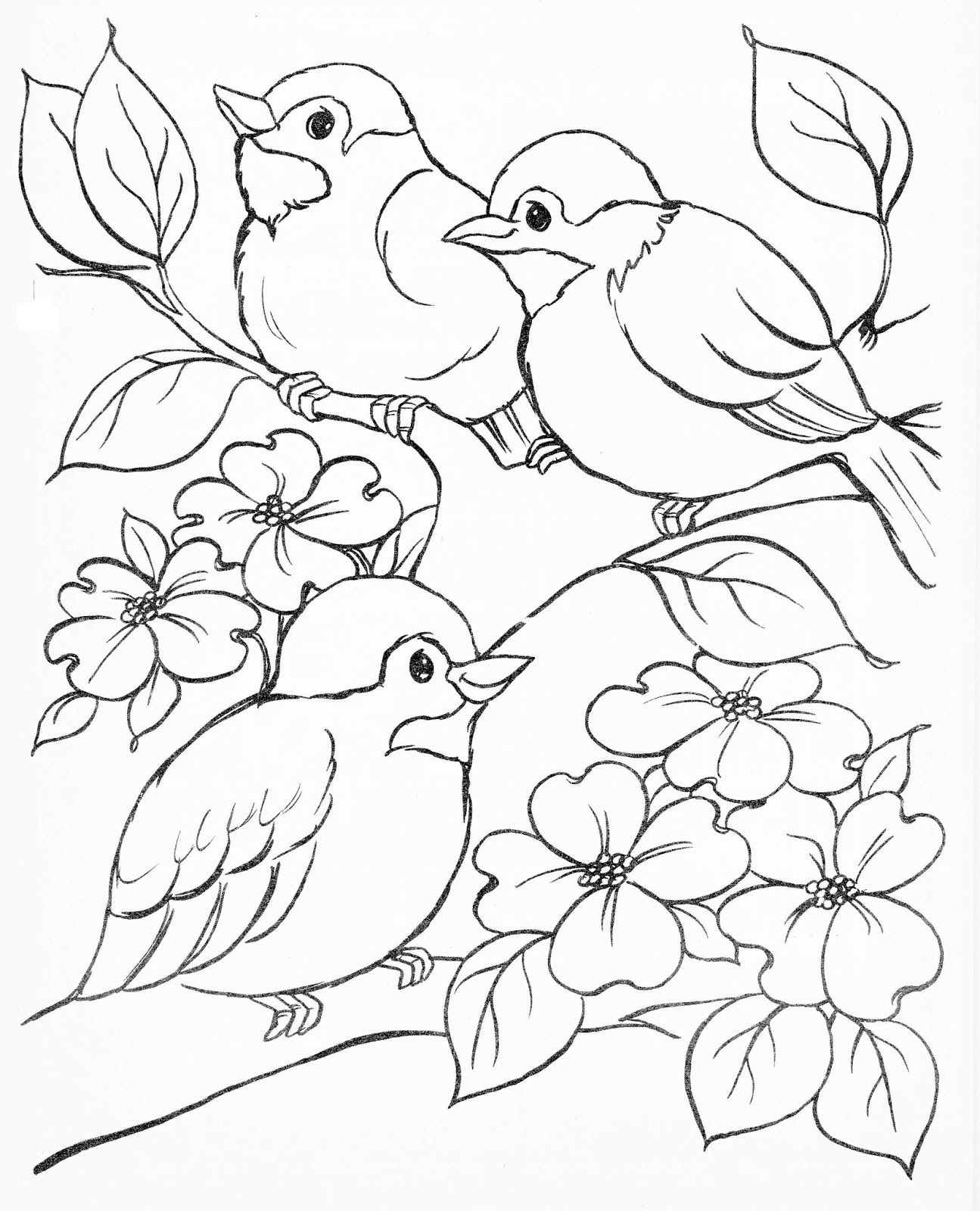Printable Coloring Pages Of Birds