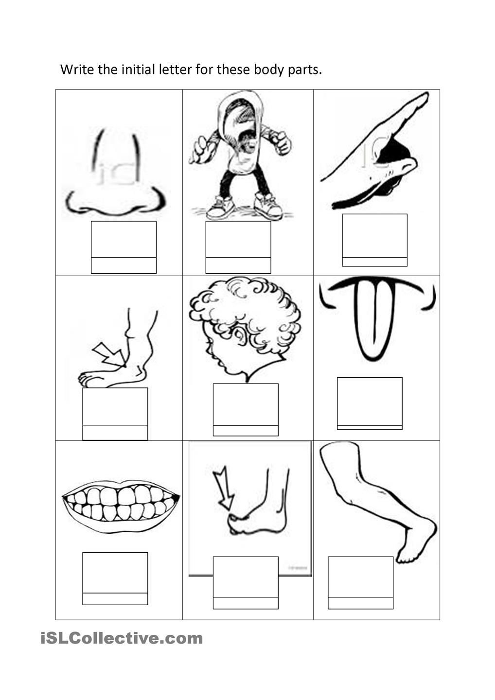 Body Parts Coloring Pages Printables High Quality Coloring Pages Coloring Home
