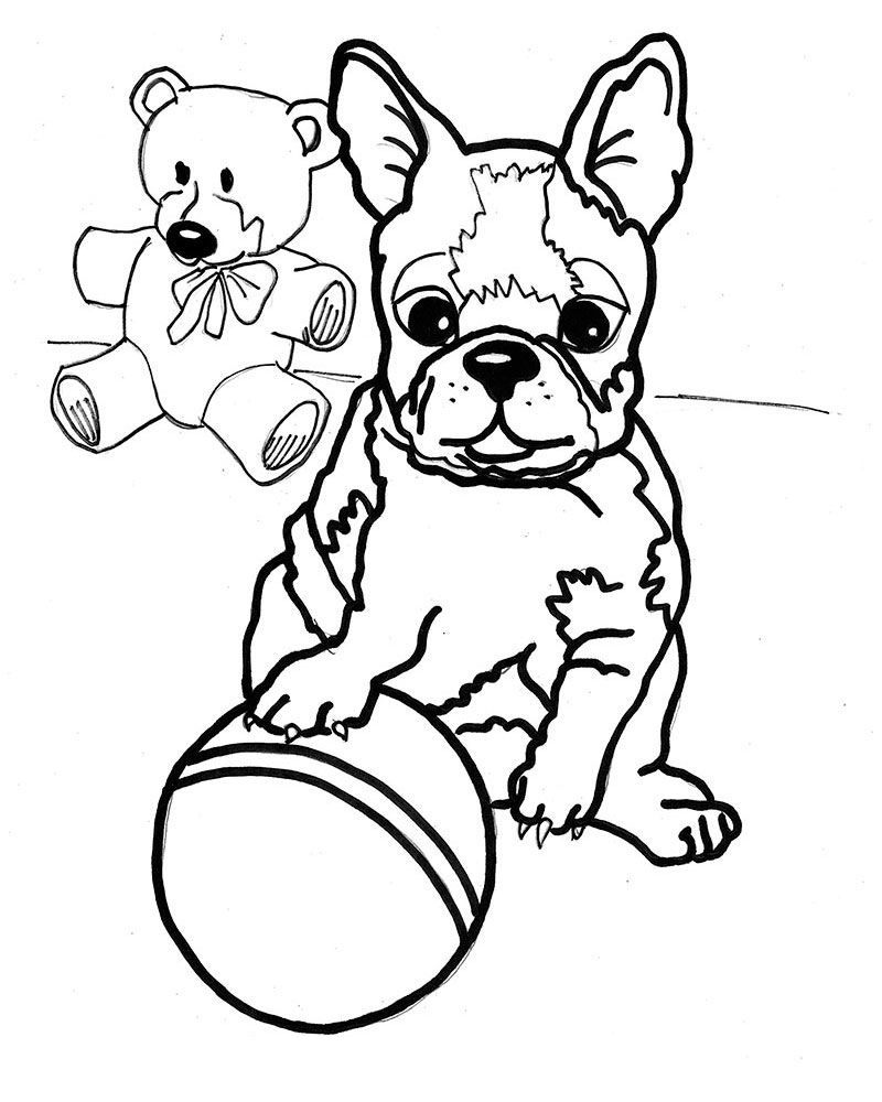Boston Terrier Coloring Pages Educative Printable