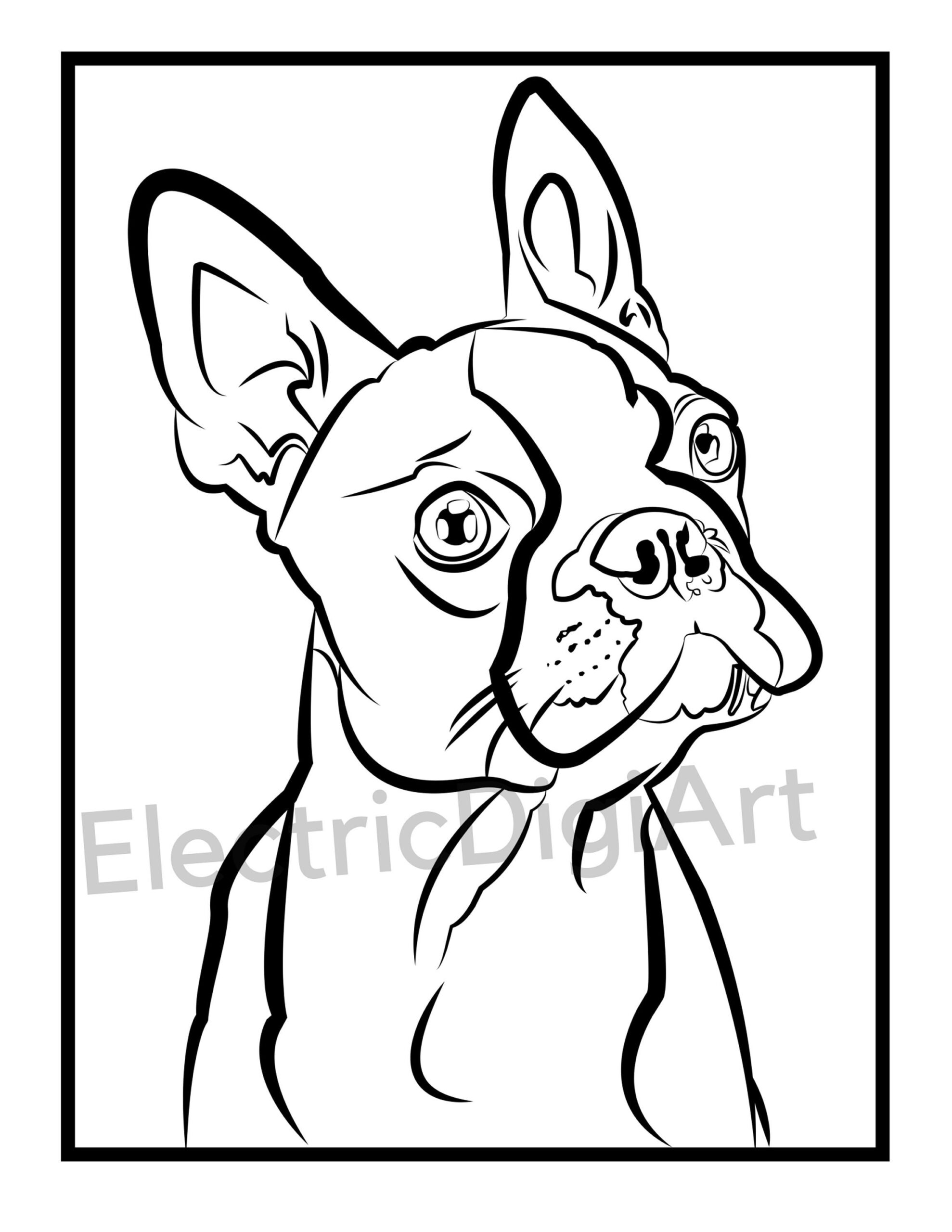 Boston Terrier Coloring Sheet Etsy Ireland