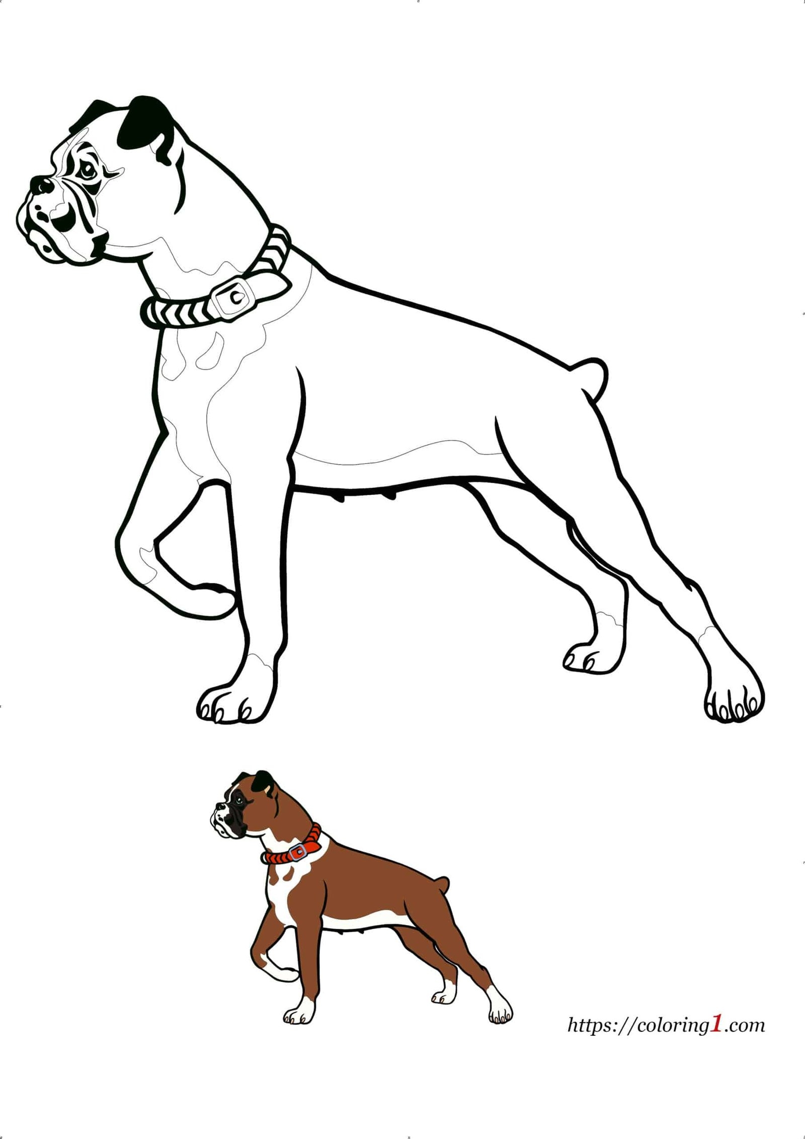 Printable Boxer Dog Coloring Pages