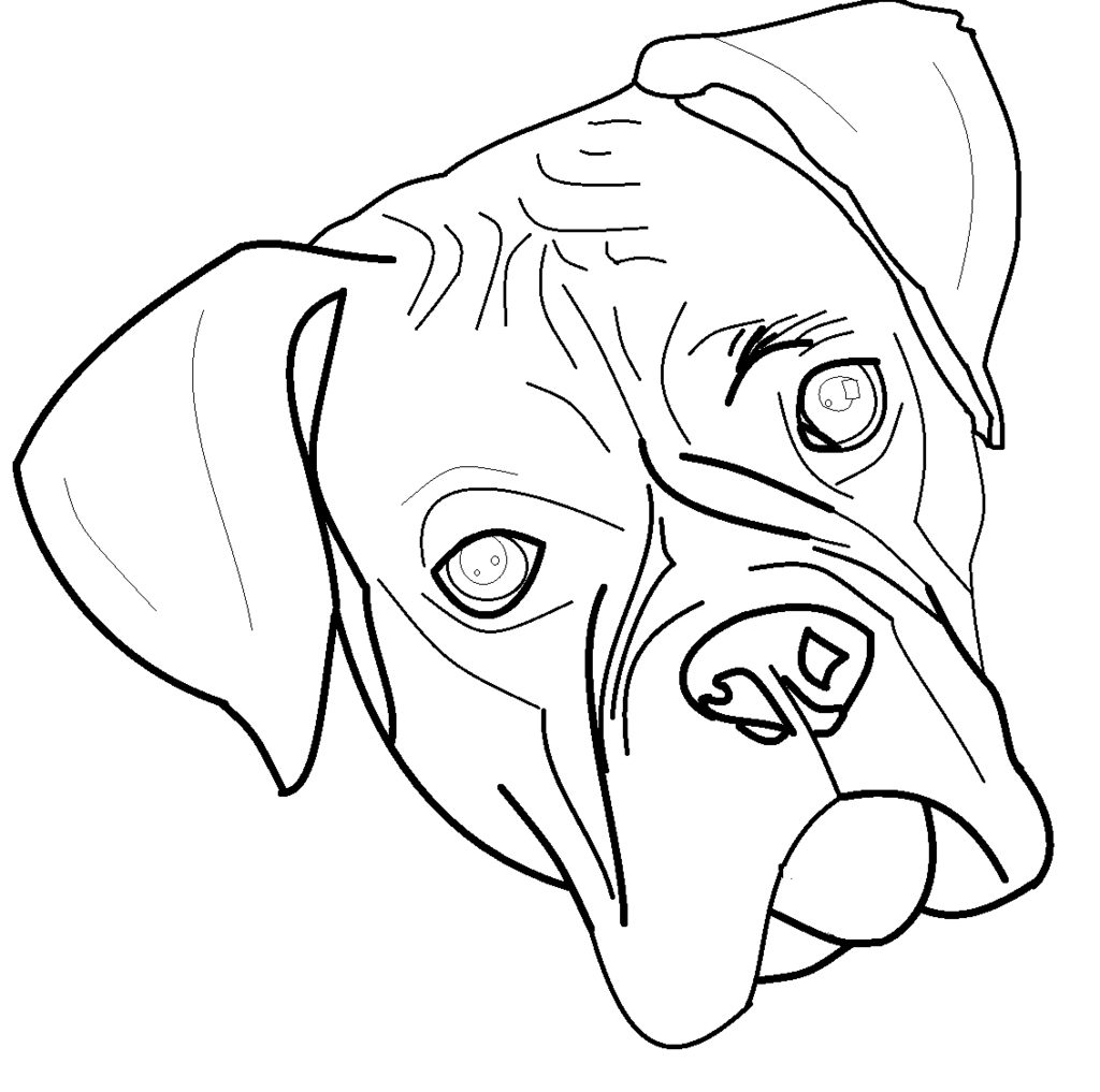 Boxer Dog Coloring Pages Puppy Printable Drawing Line Dogs Print Chien Coloriage Color Imprimer