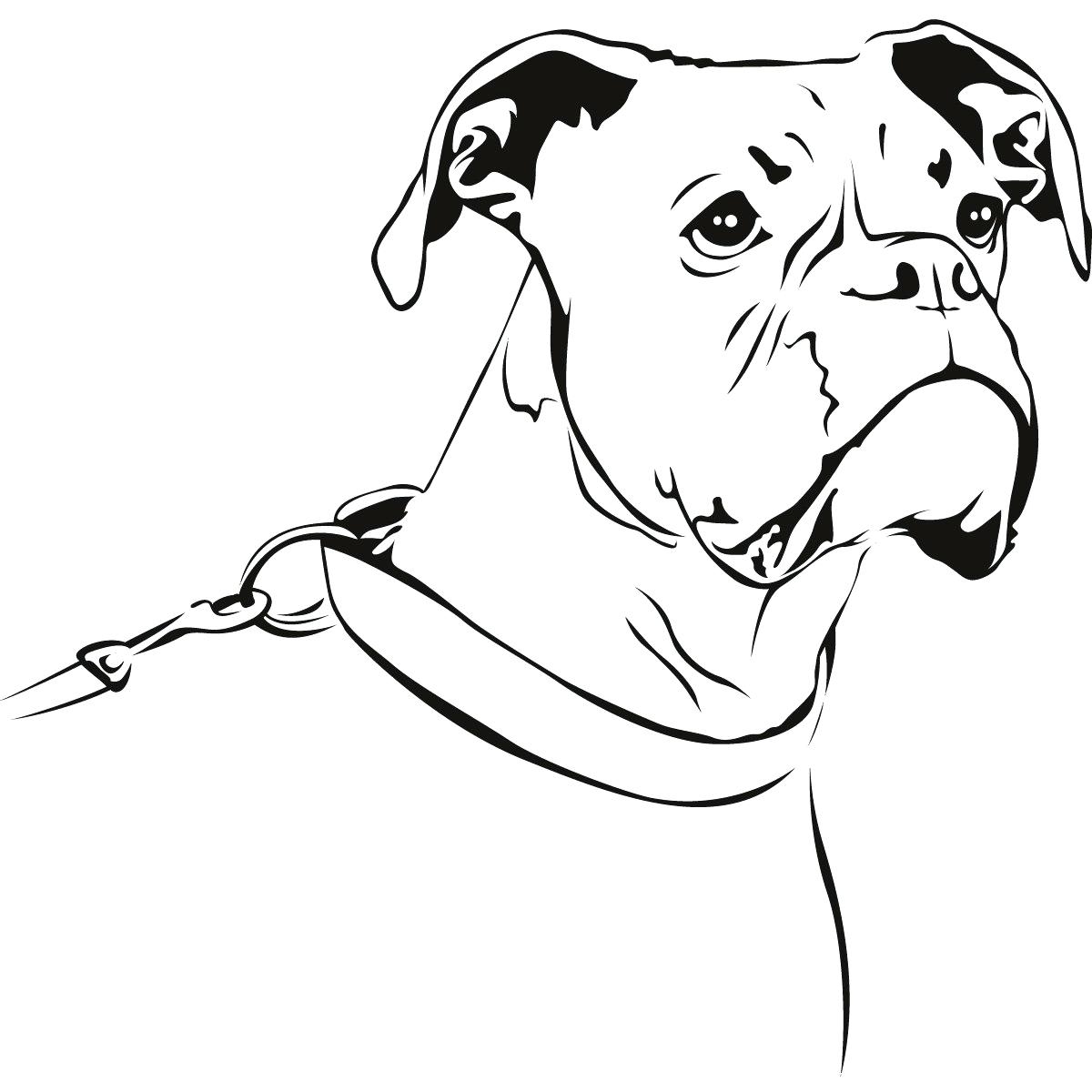 Boxer Dog Drawing At GetDrawings Free Download
