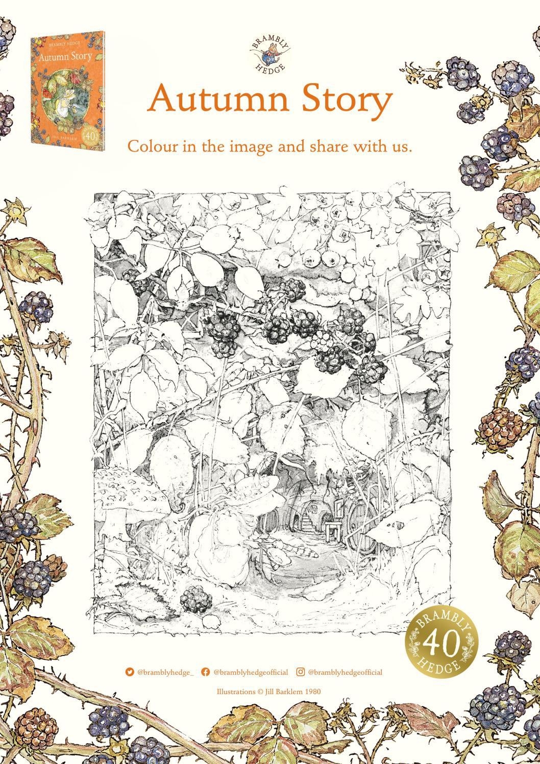 Brambly Hedge Autumn Story Colouring Sheets By Harpercollinschildrens Issuu