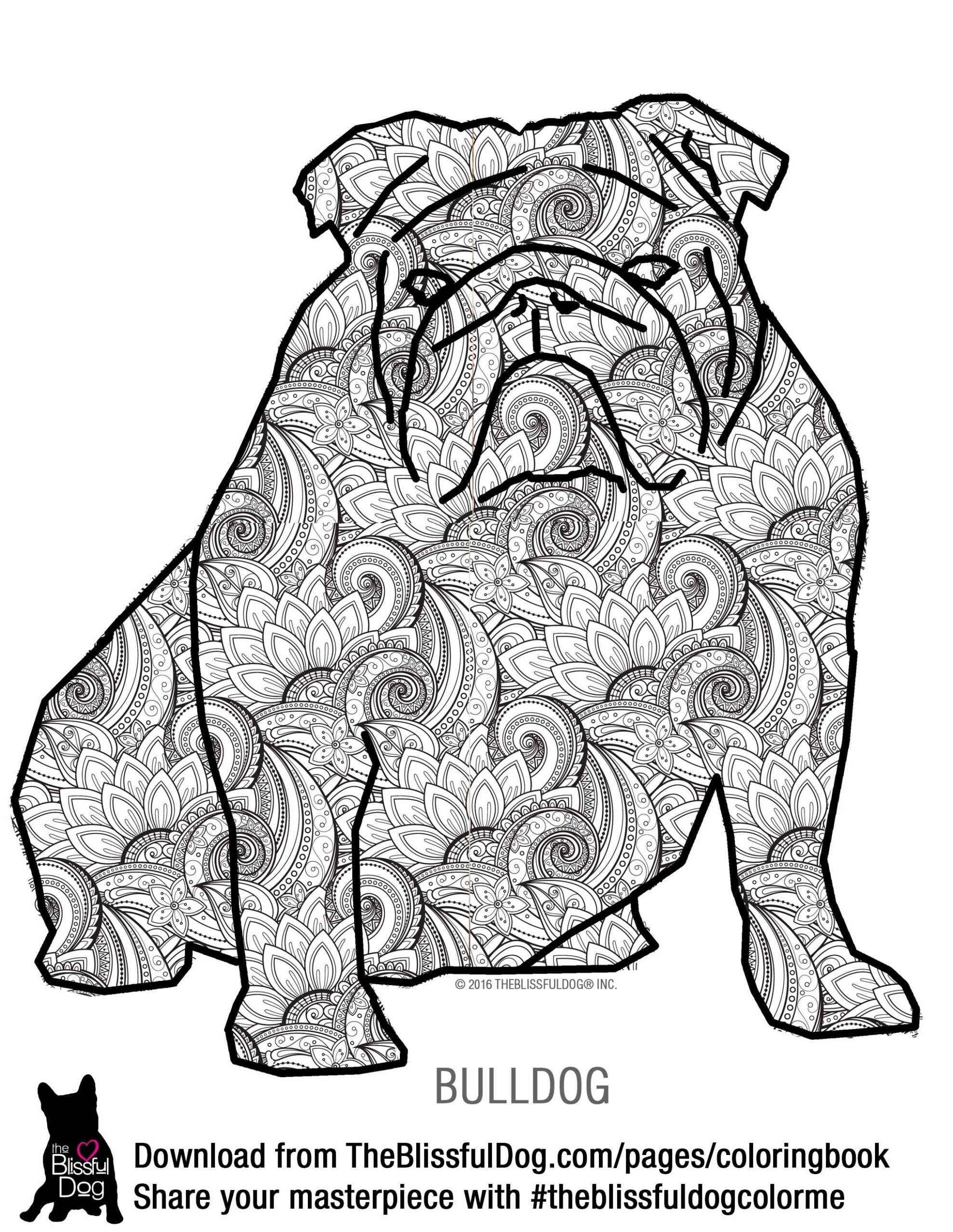 Bulldog Coloring Pages Printable