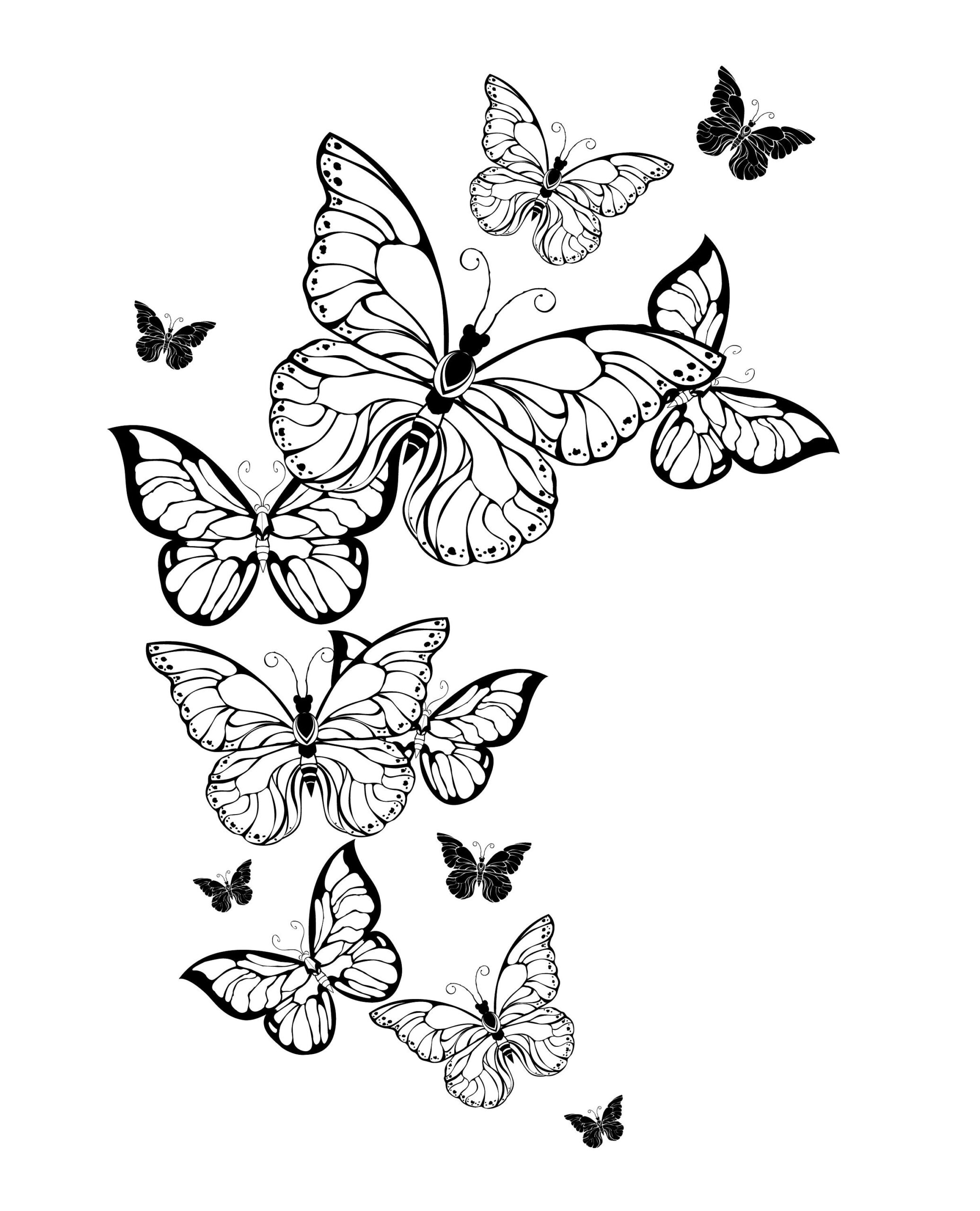 Printable Butterfly Coloring Pages