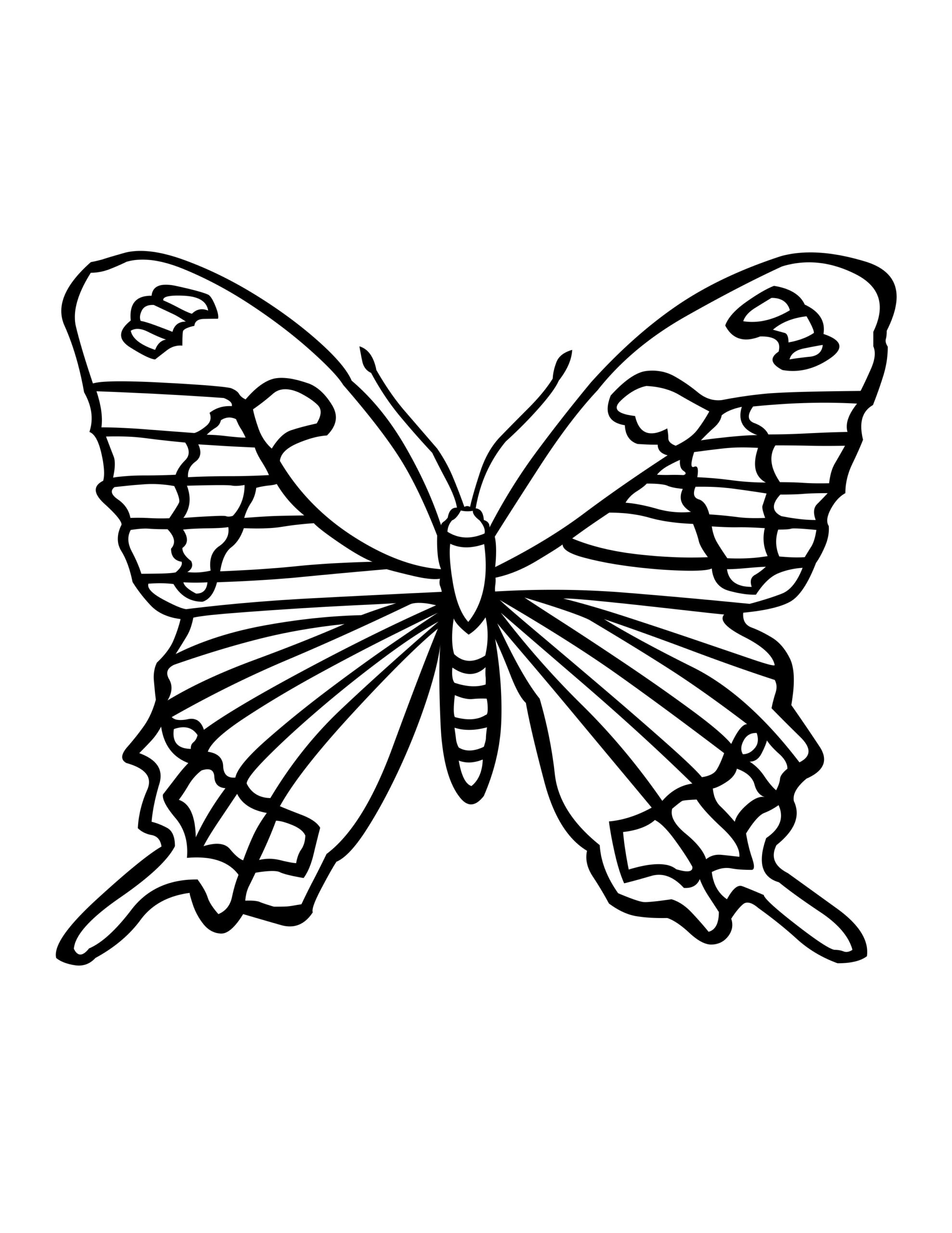Butterfly Coloring Pages Printable