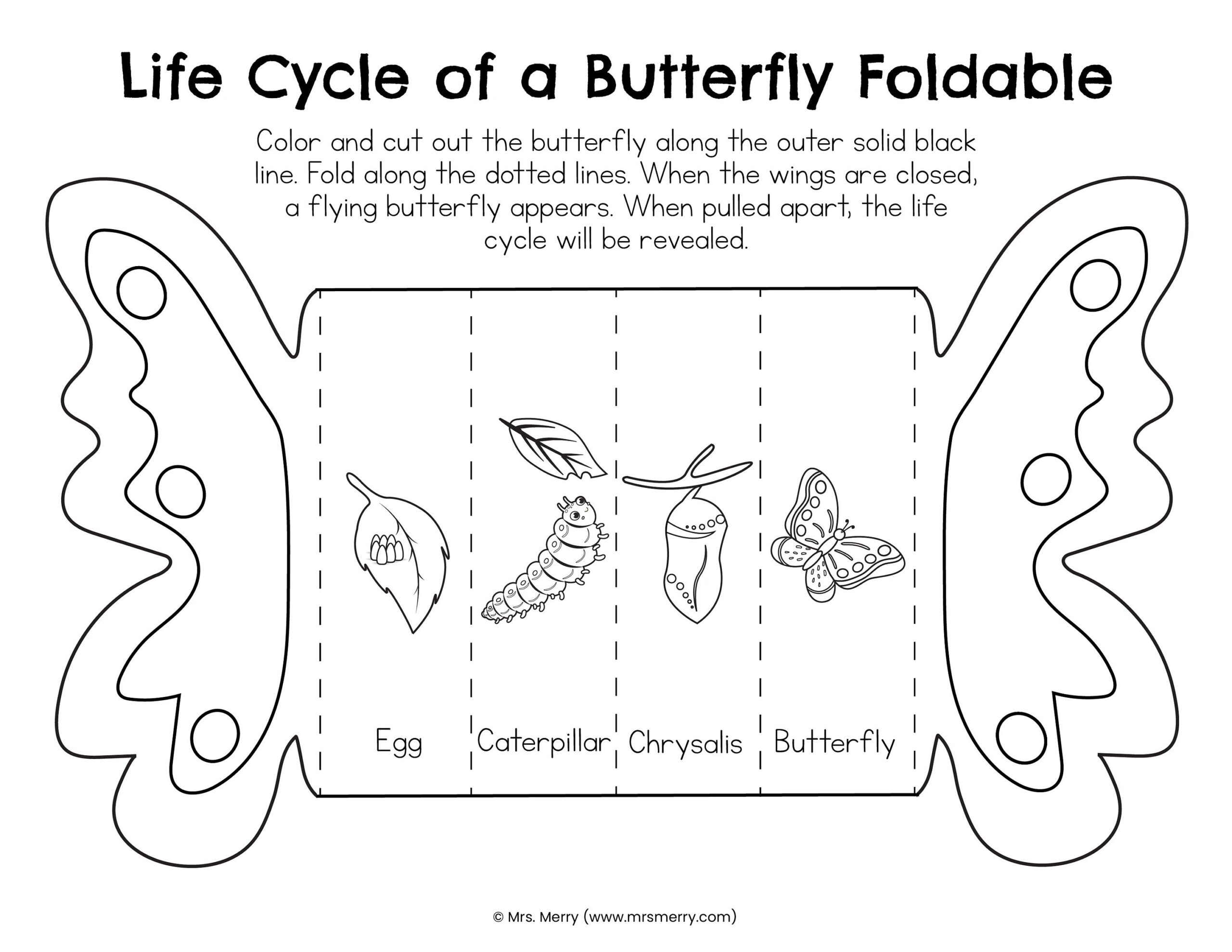 Butterfly Life Cycle Coloring Pages For Kids