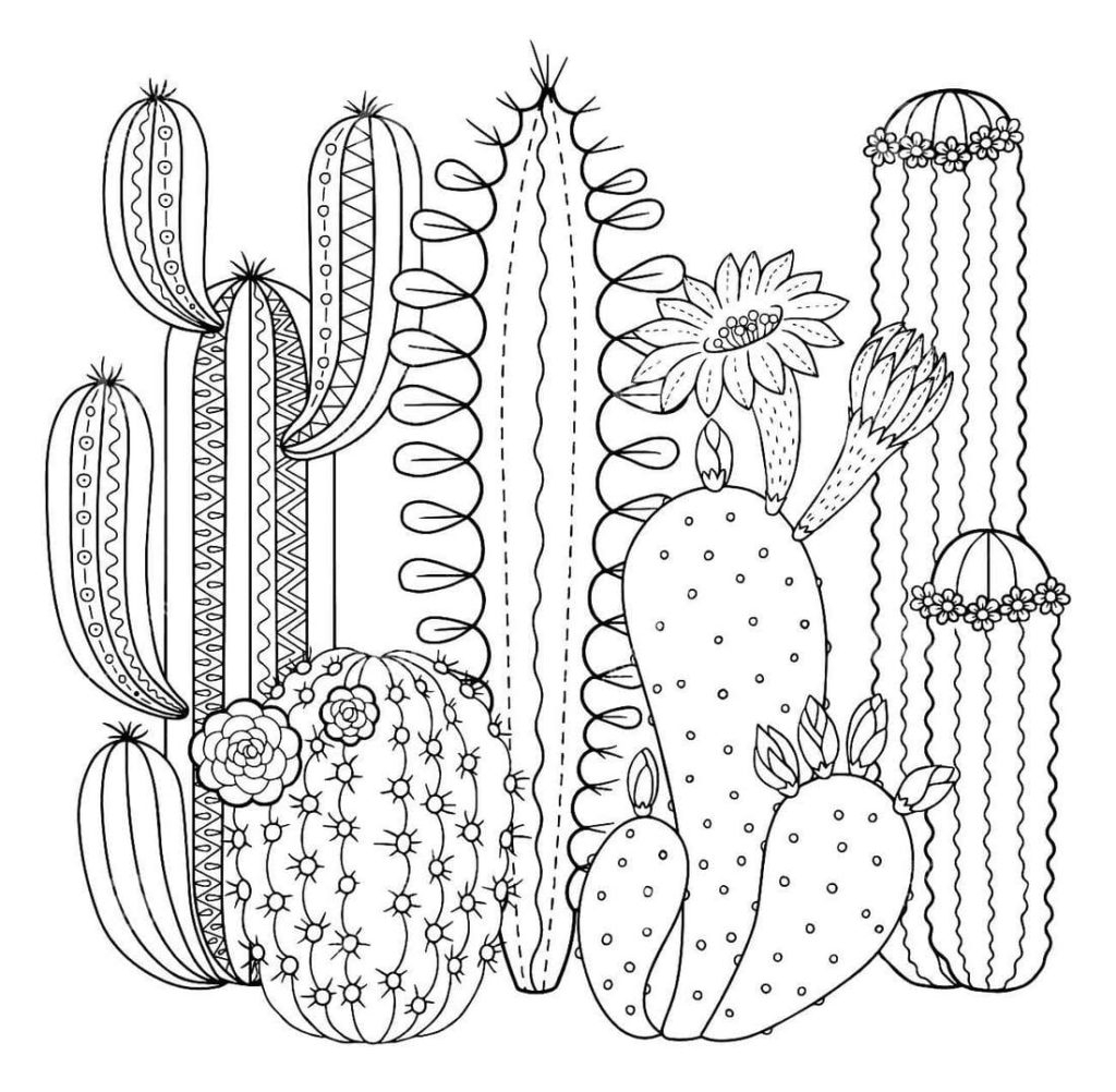Free Printable Coloring Page Cactus