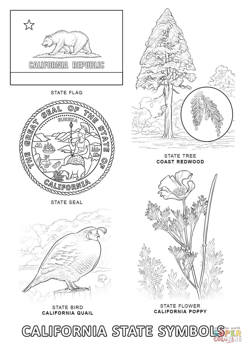 California State Symbols Coloring Page From California Category Select From 27007 Printable