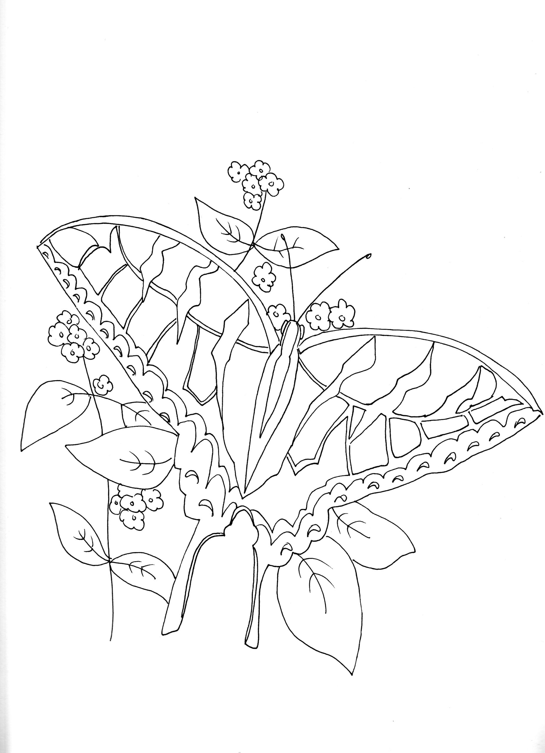 Camo Coloring Pages At GetColorings Free Printable Colorings Pages To Print And Color