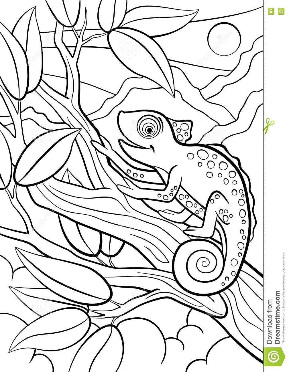 Camo Coloring Pages At GetColorings Free Printable Colorings Pages To Print And Color