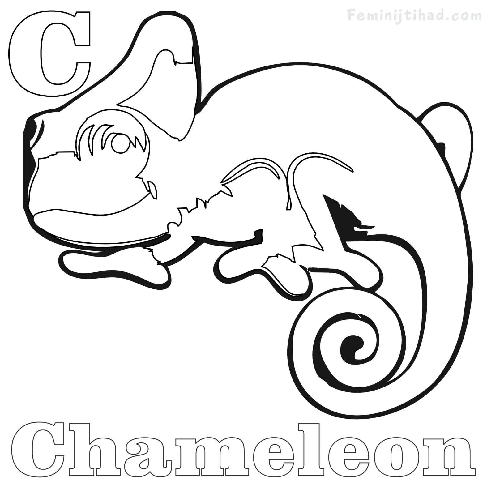 Chameleon Coloring Pages Printable