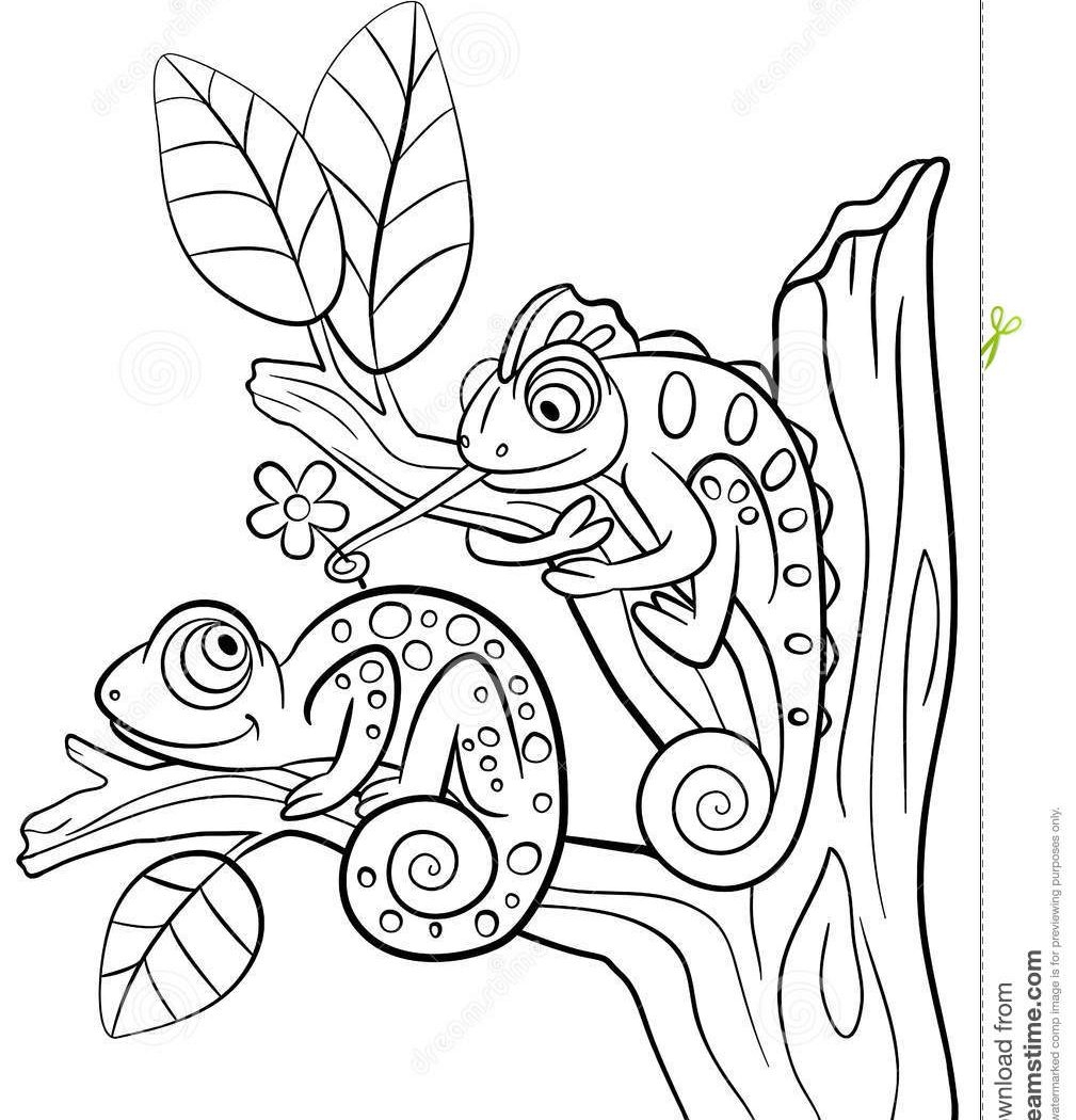Chameleon Coloring Page Printable