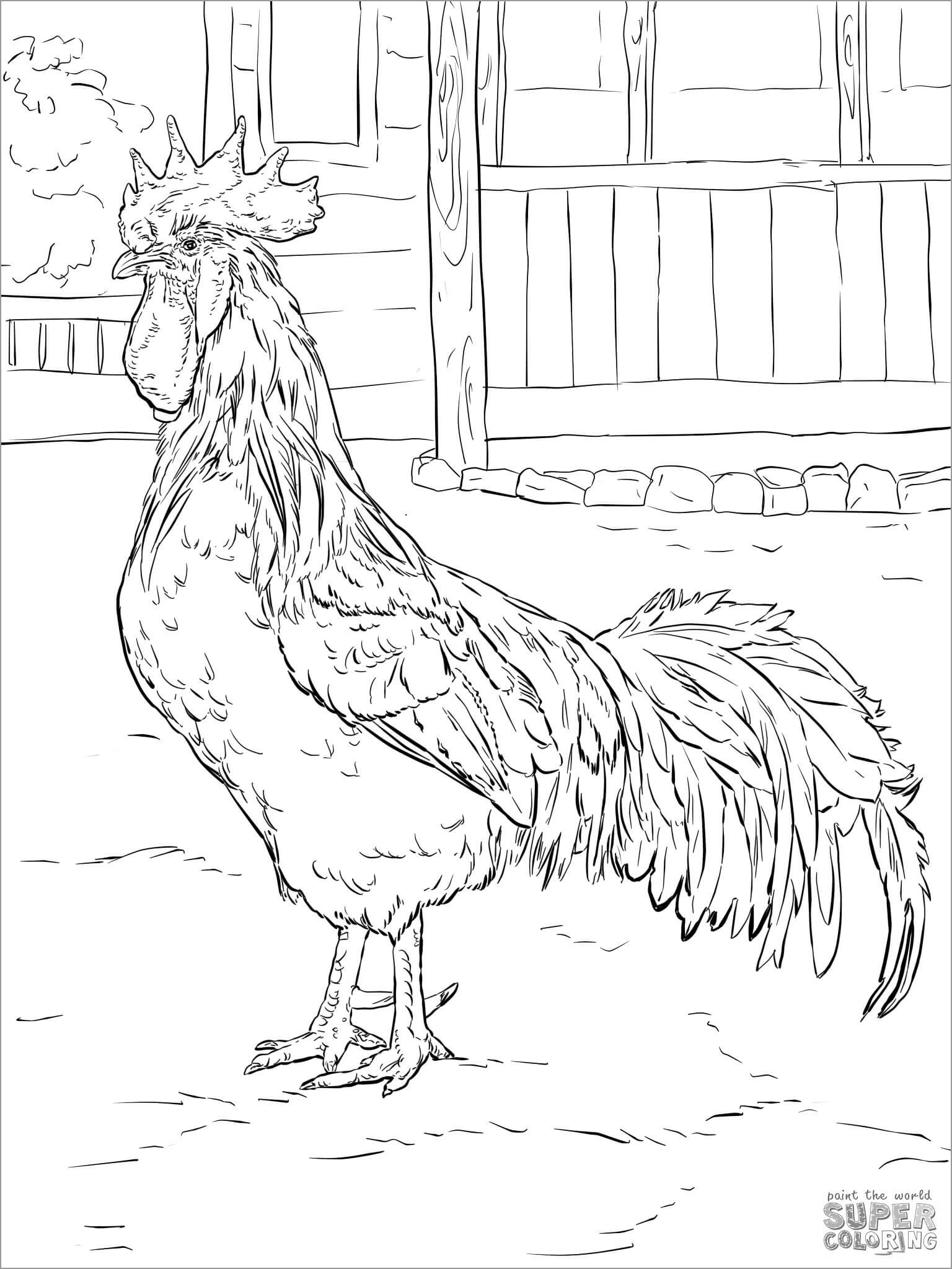 Printable Chicken Coloring Pages