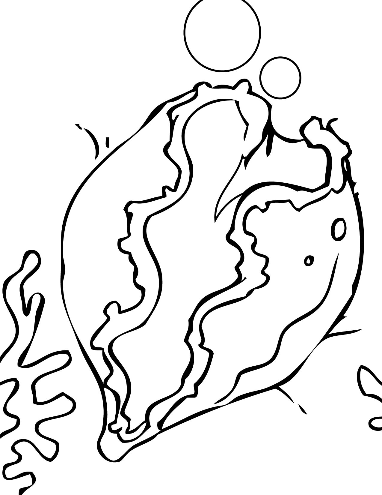 Clam Coloring Page At GetColorings Free Printable Colorings Pages To Print And Color