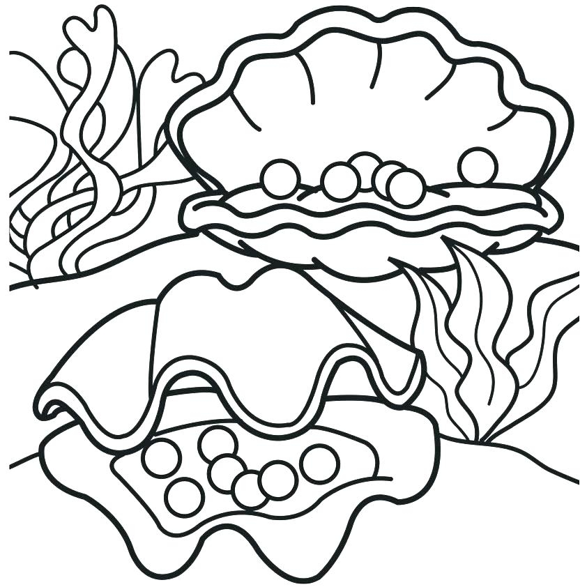 Clam Coloring Page At GetColorings Free Printable Colorings Pages To Print And Color