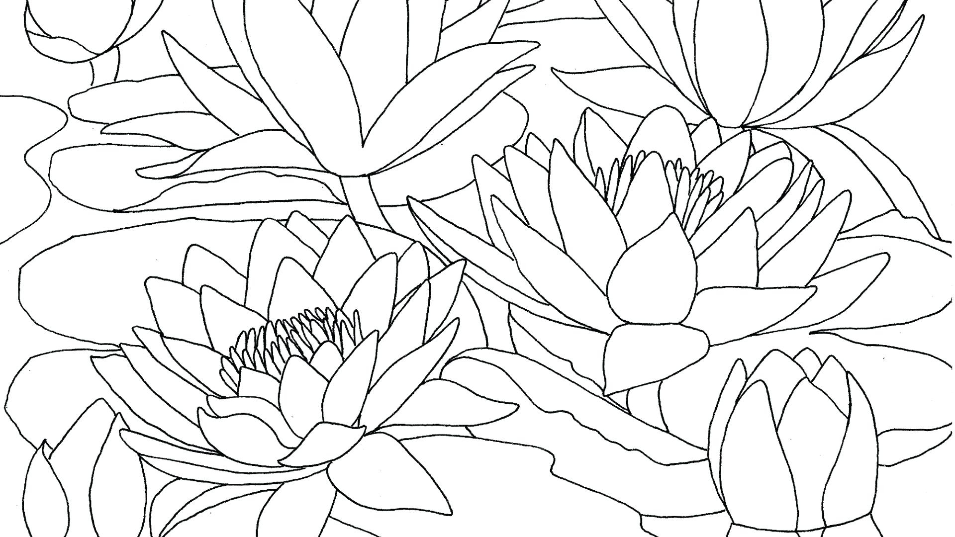 Claude Monet Coloring Pages At GetDrawings Free Download