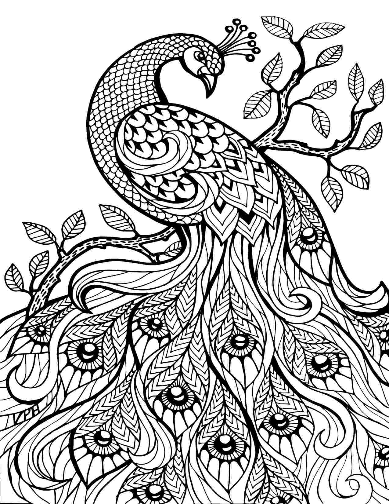 Printable Coloring Pages Pdf
