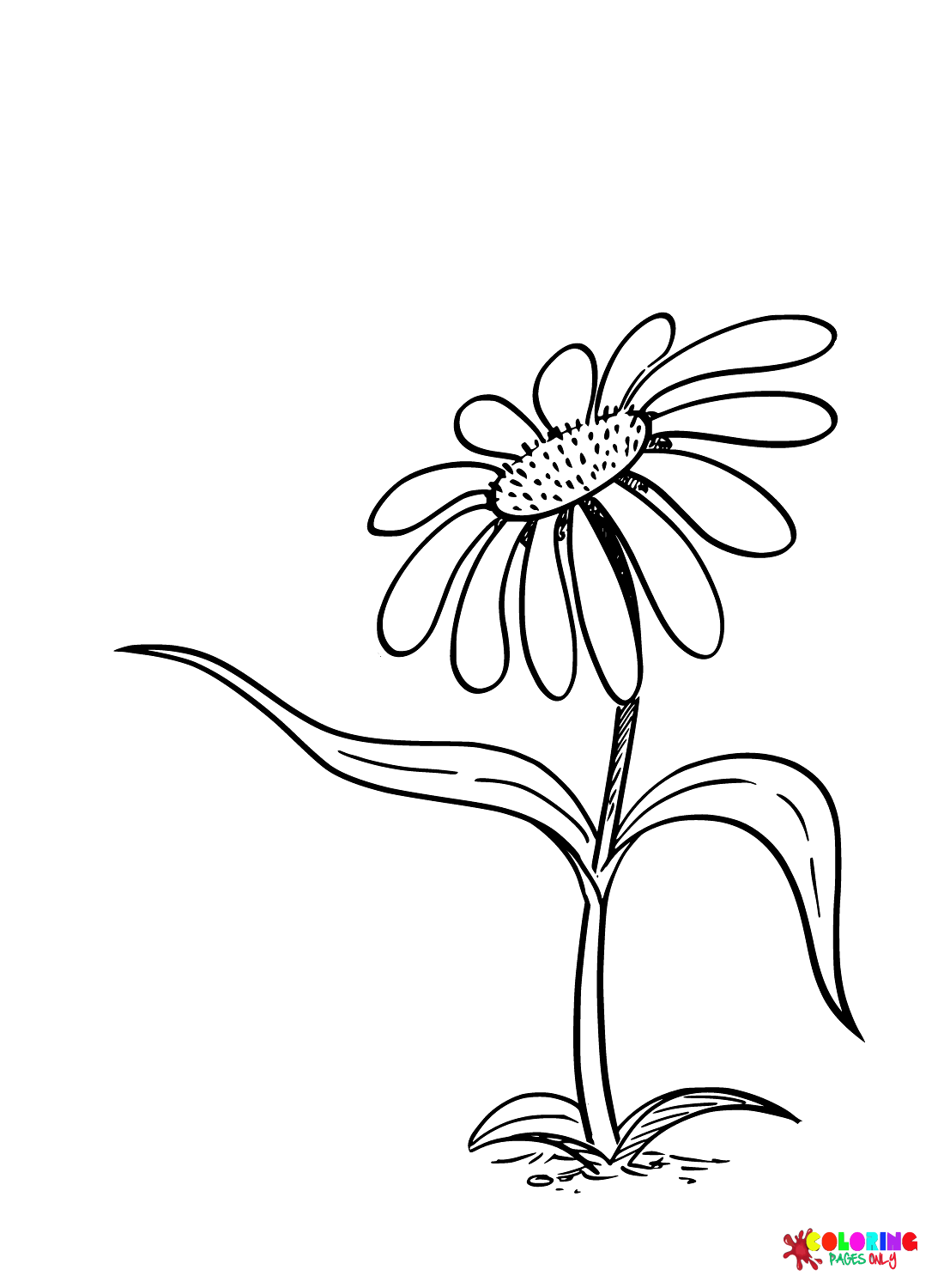 Coloring Pages For Kids And Adults