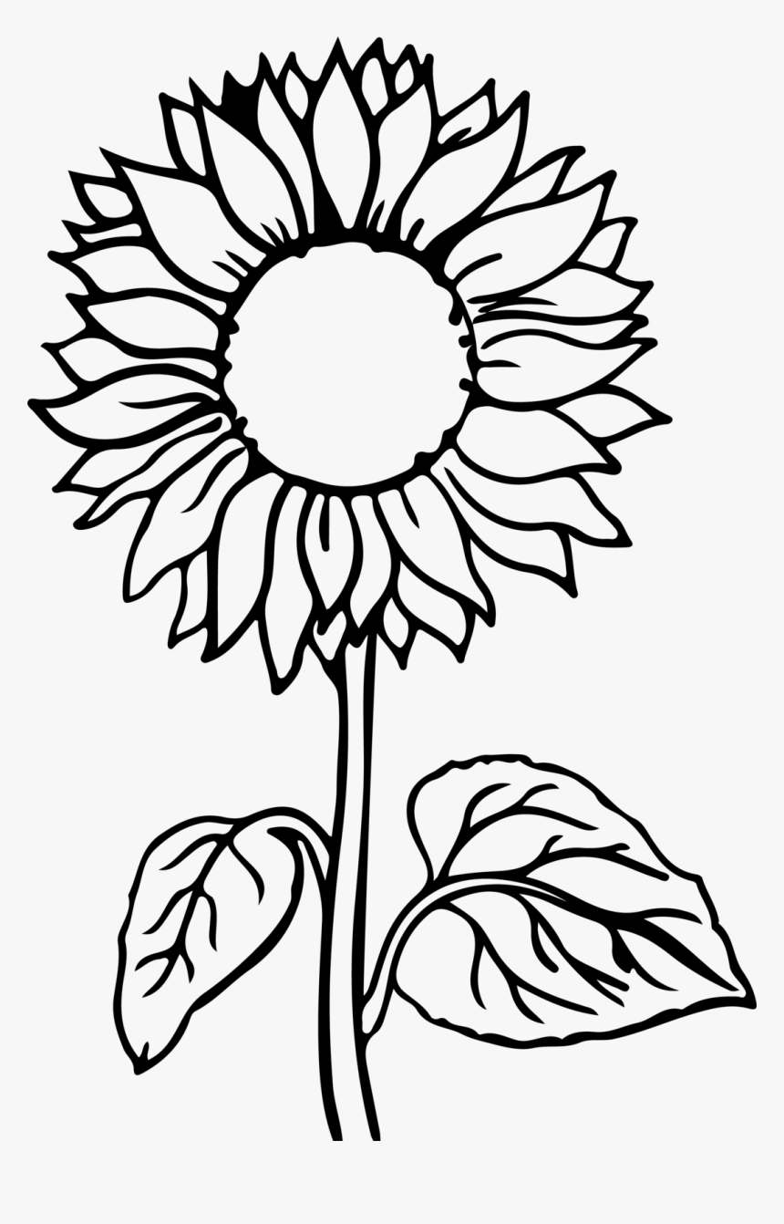 Printable Sunflower Coloring Pages