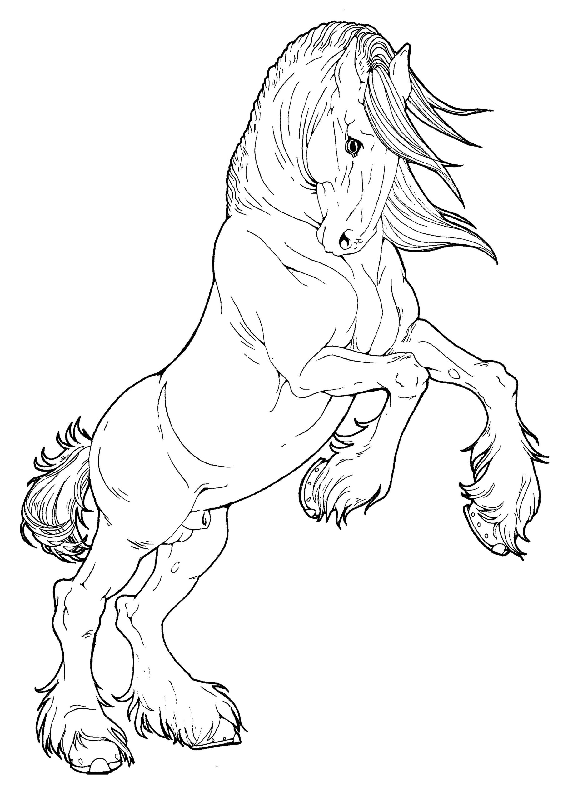 Free Printable Coloring Page Horse