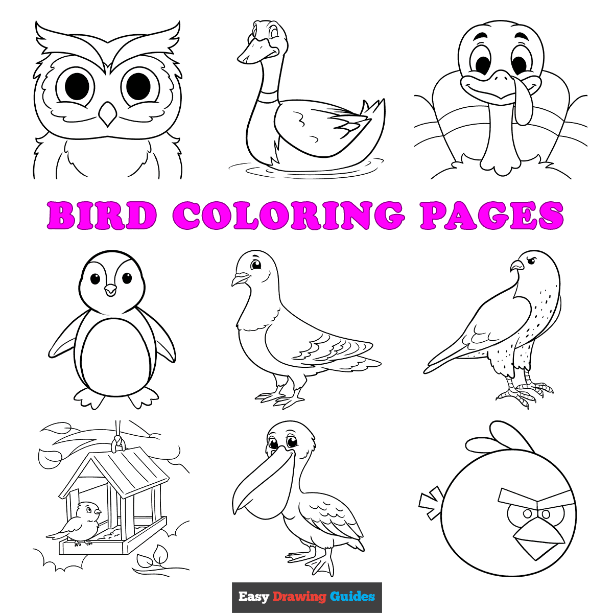 Coloring Pages Of Tropical Bird