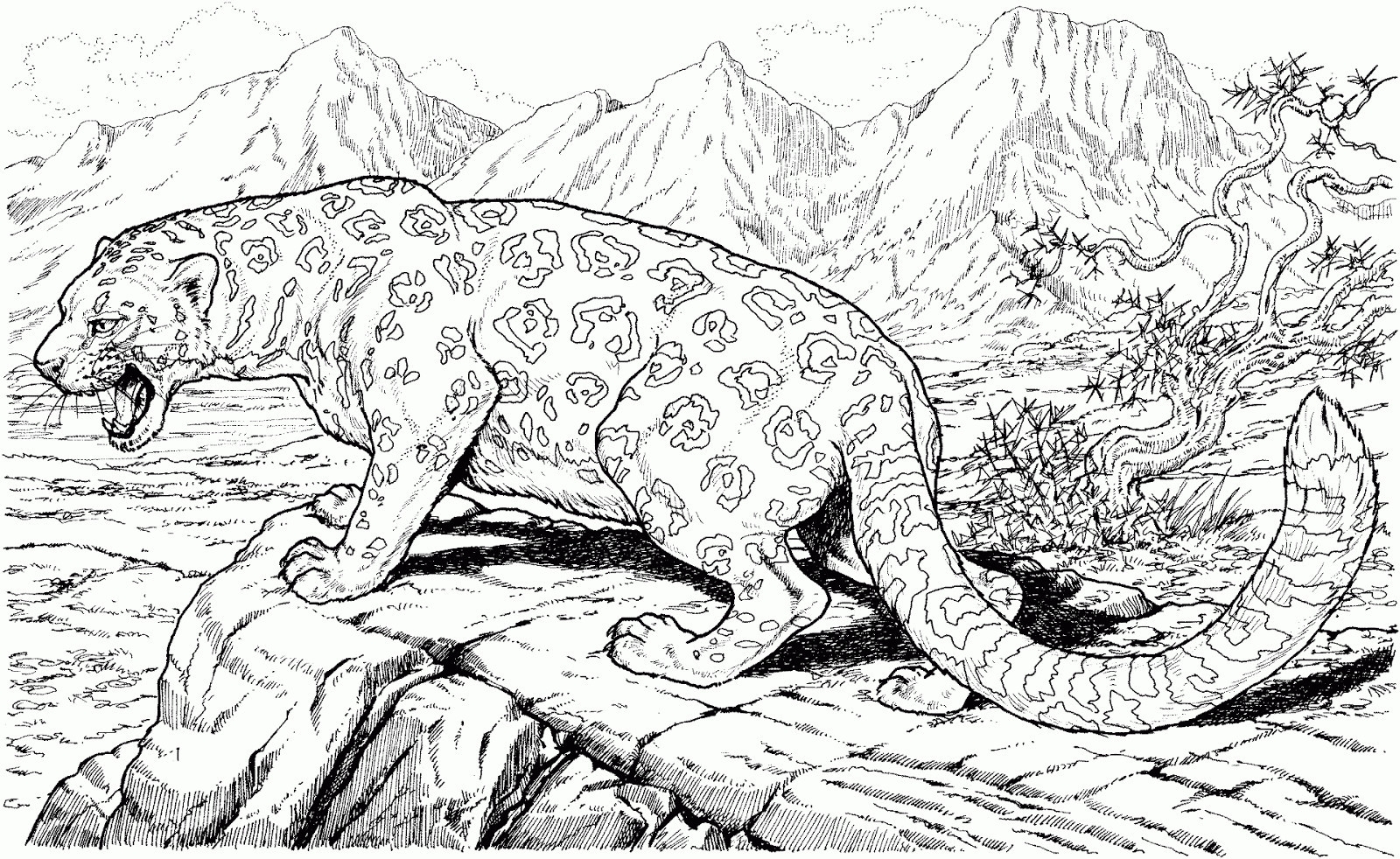 Complex Coloring Pages For Teens And Adults Best Coloring Pages For Kids