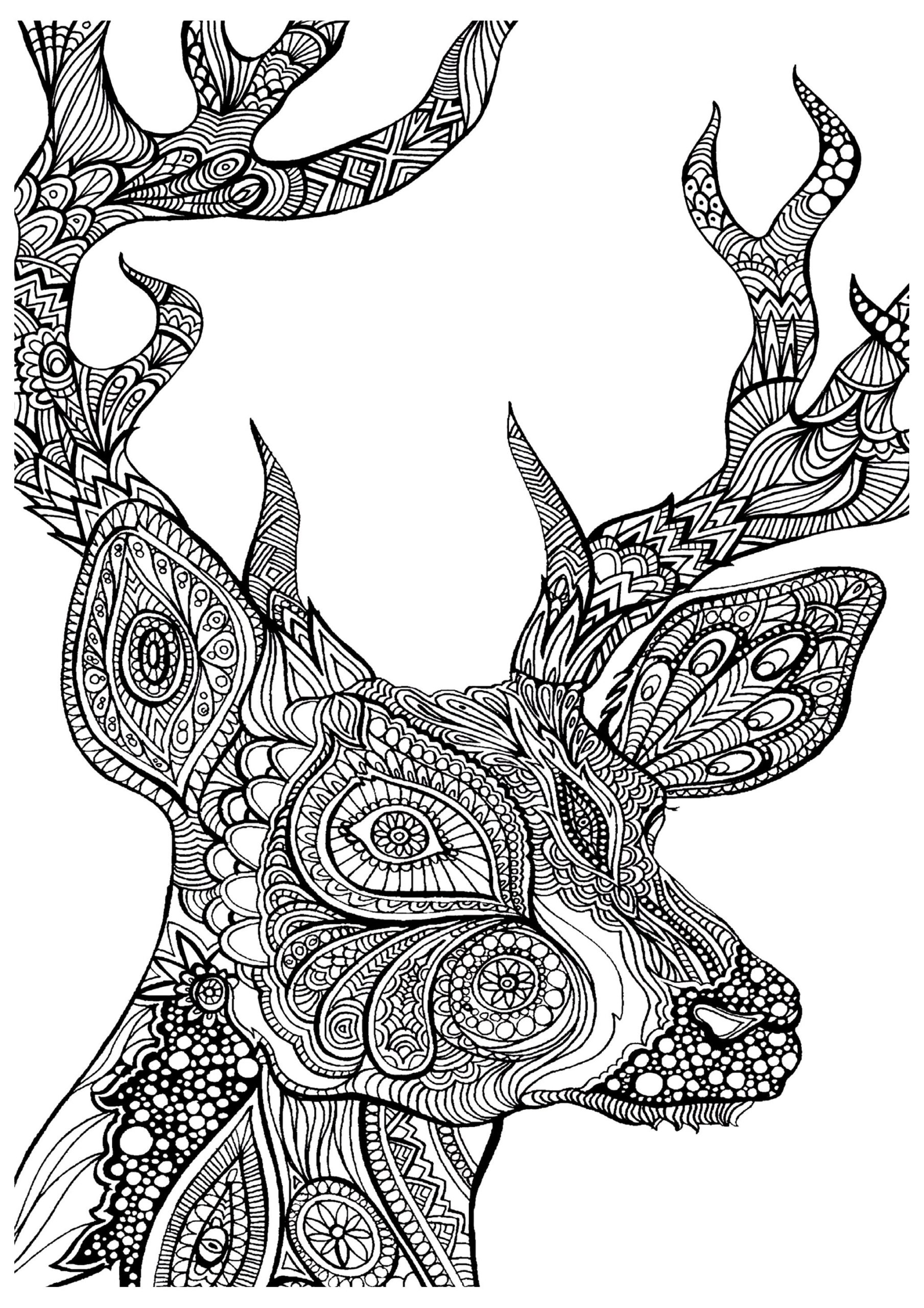 Complex Coloring Pages Animals Printable