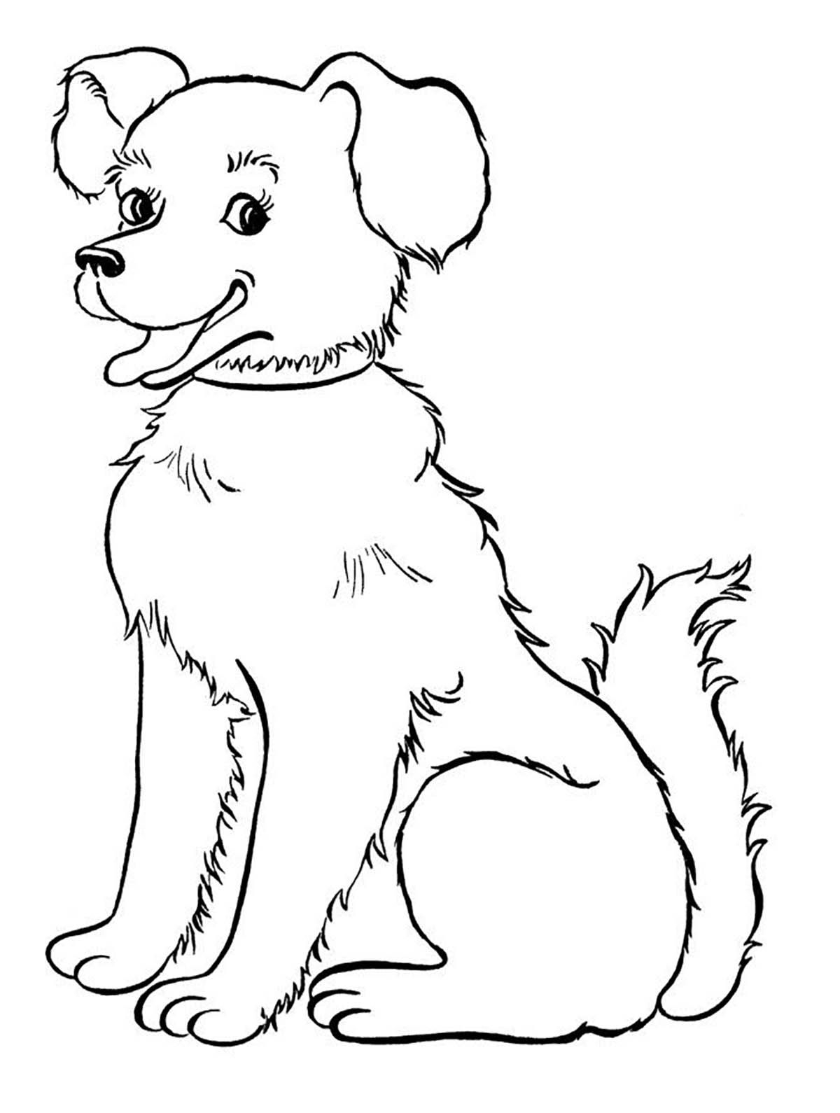 Cute Fluffy Puppy Coloring Pages Dennis Henninger S Coloring Pages