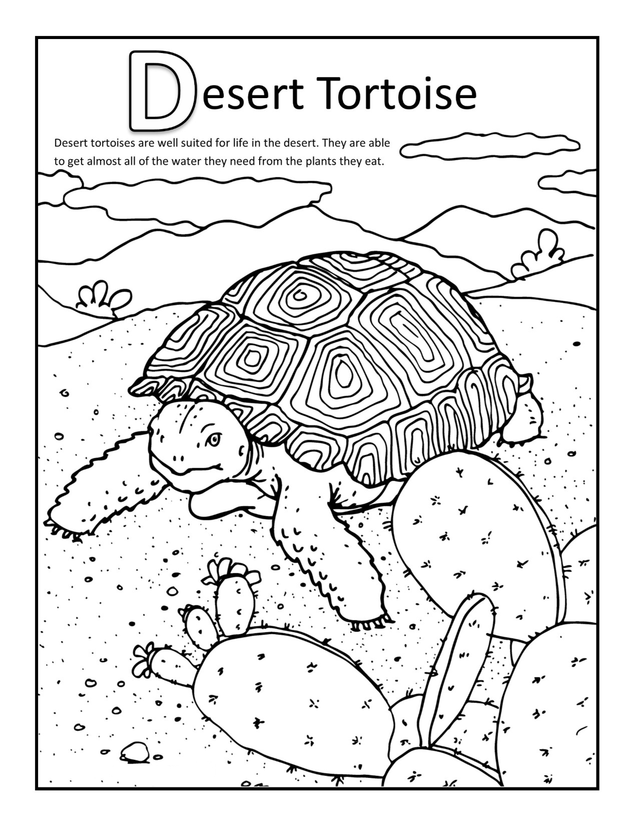 Free Printable Desert Coloring Pages