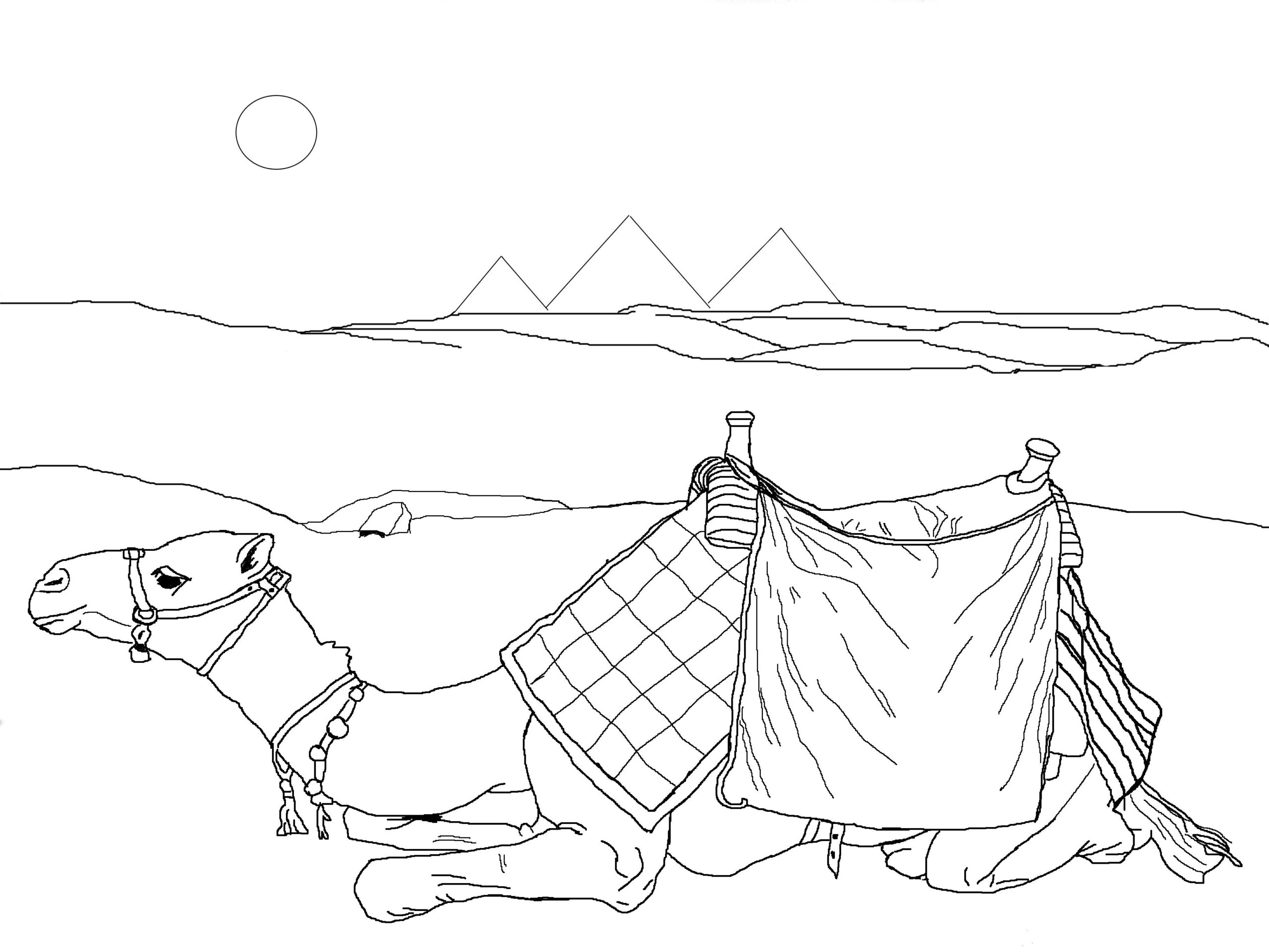 Desert Coloring Pages To Download And Print For Free