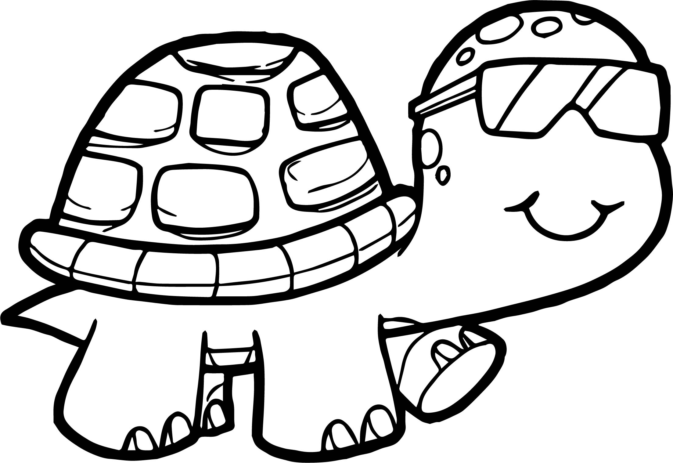 Detailed Turtle Coloring Pages At GetColorings Free Printable Colorings Pages To Print And