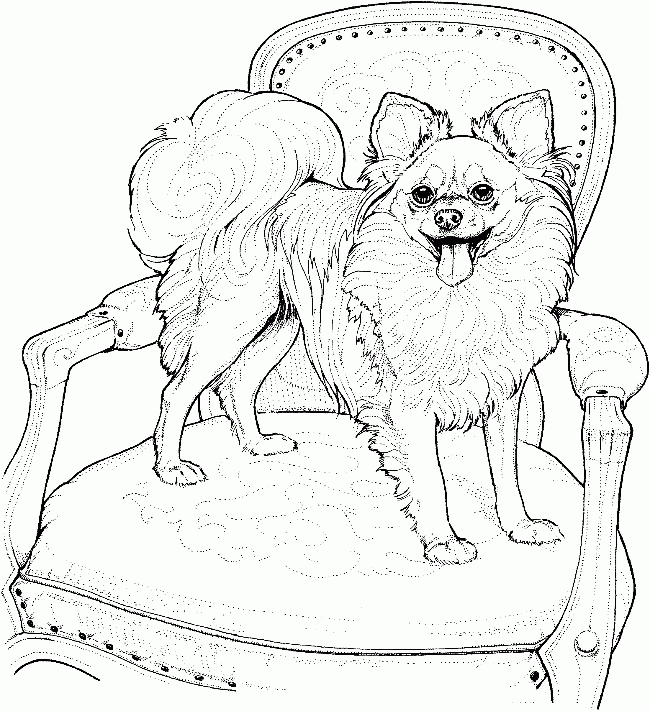 Free Printable Coloring Pages Dogs