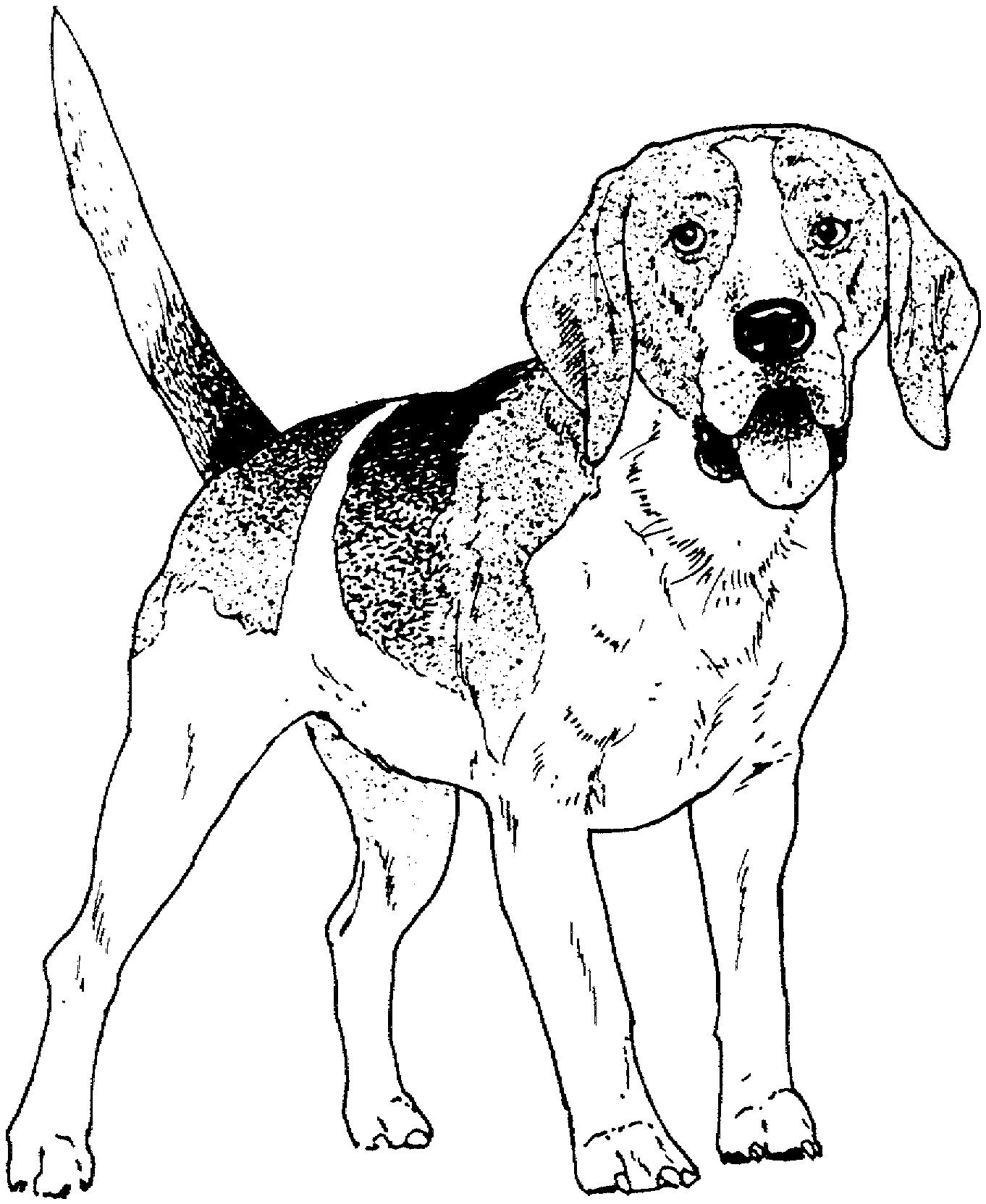 Dog Coloring Pages Printable At GetColorings Free Printable Colorings Pages To Print And Color