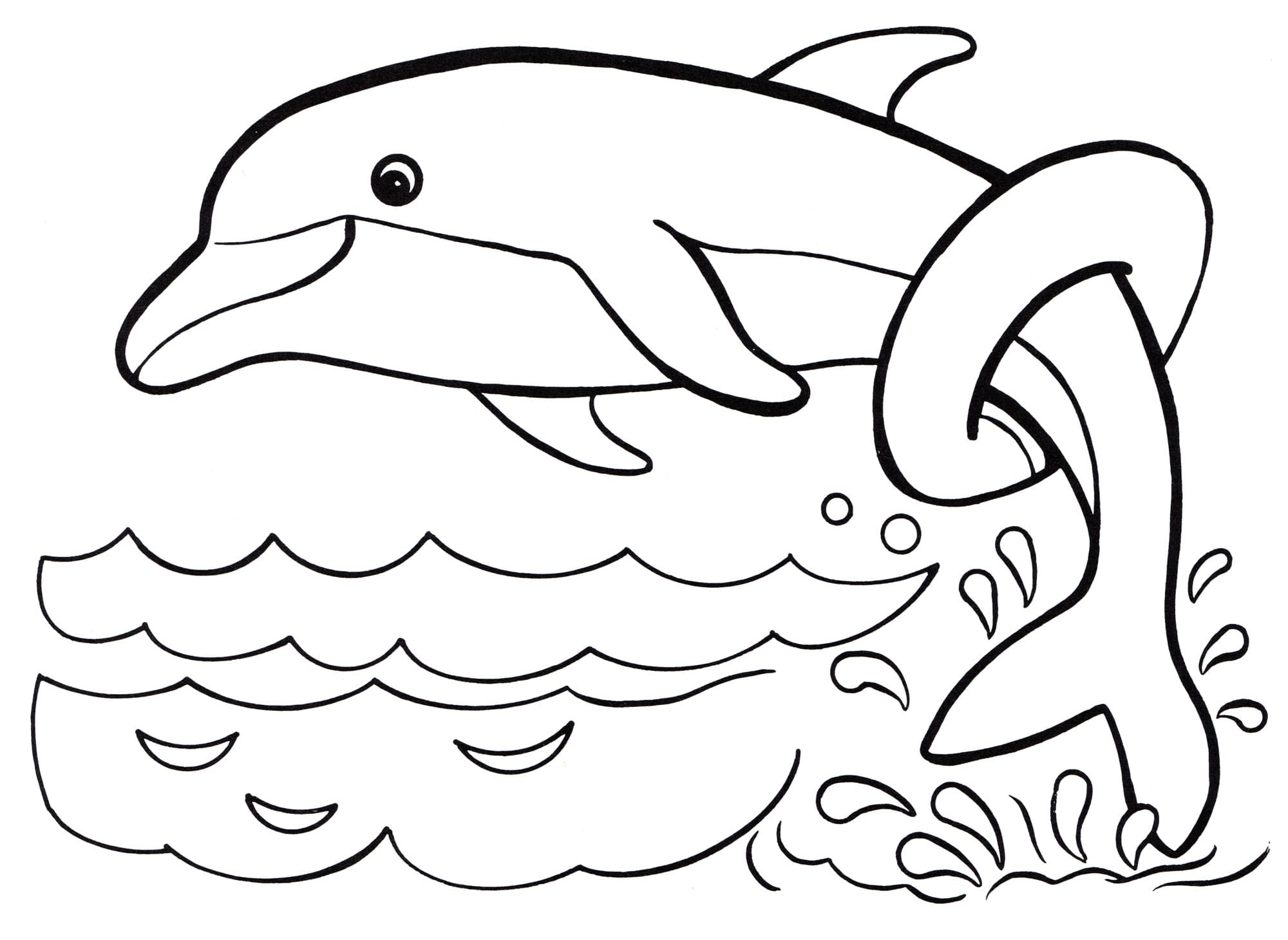 Dolphins Coloring Pages 100 Pictures Free Printable
