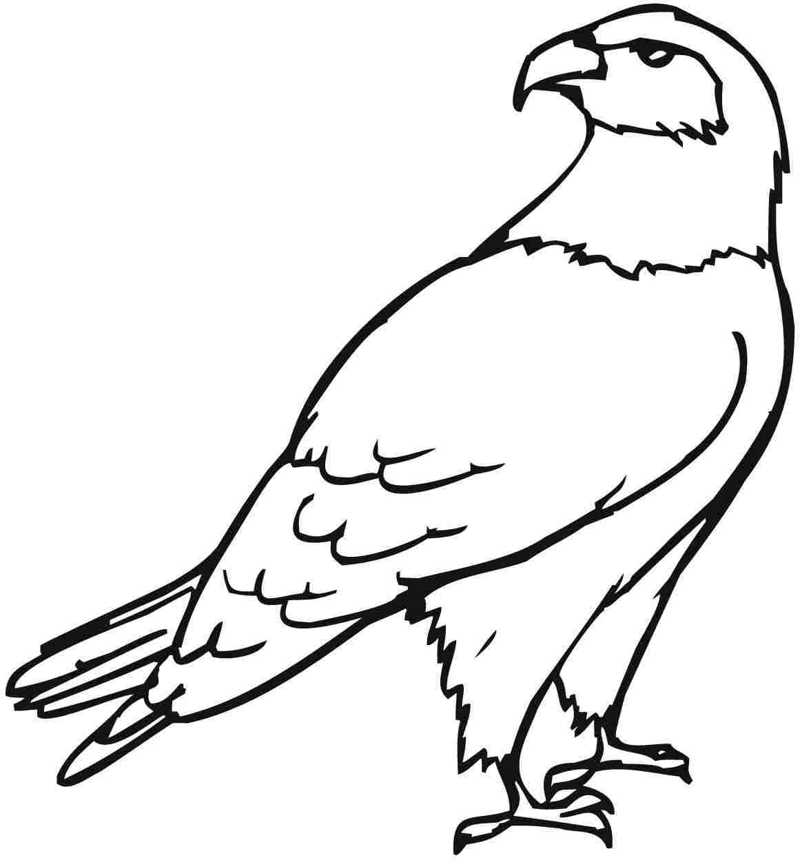 Eagle Coloring Pages Kidsuki