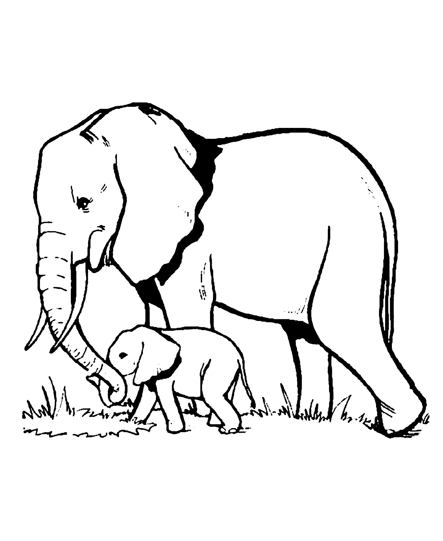 Elephant Coloring Page To Download For Free Elephant Coloring Pages For Kids