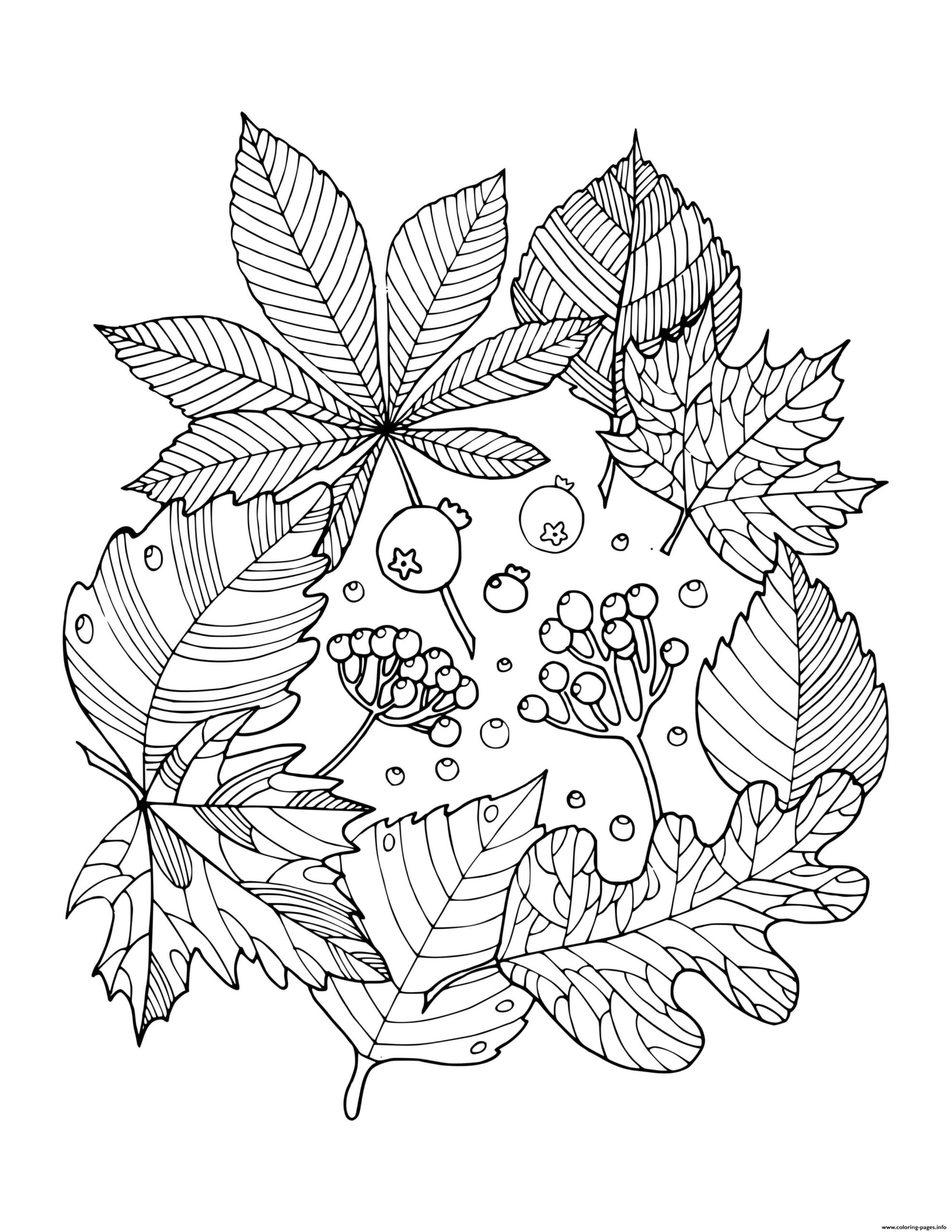 Fall Leaves Coloring Pages Printable