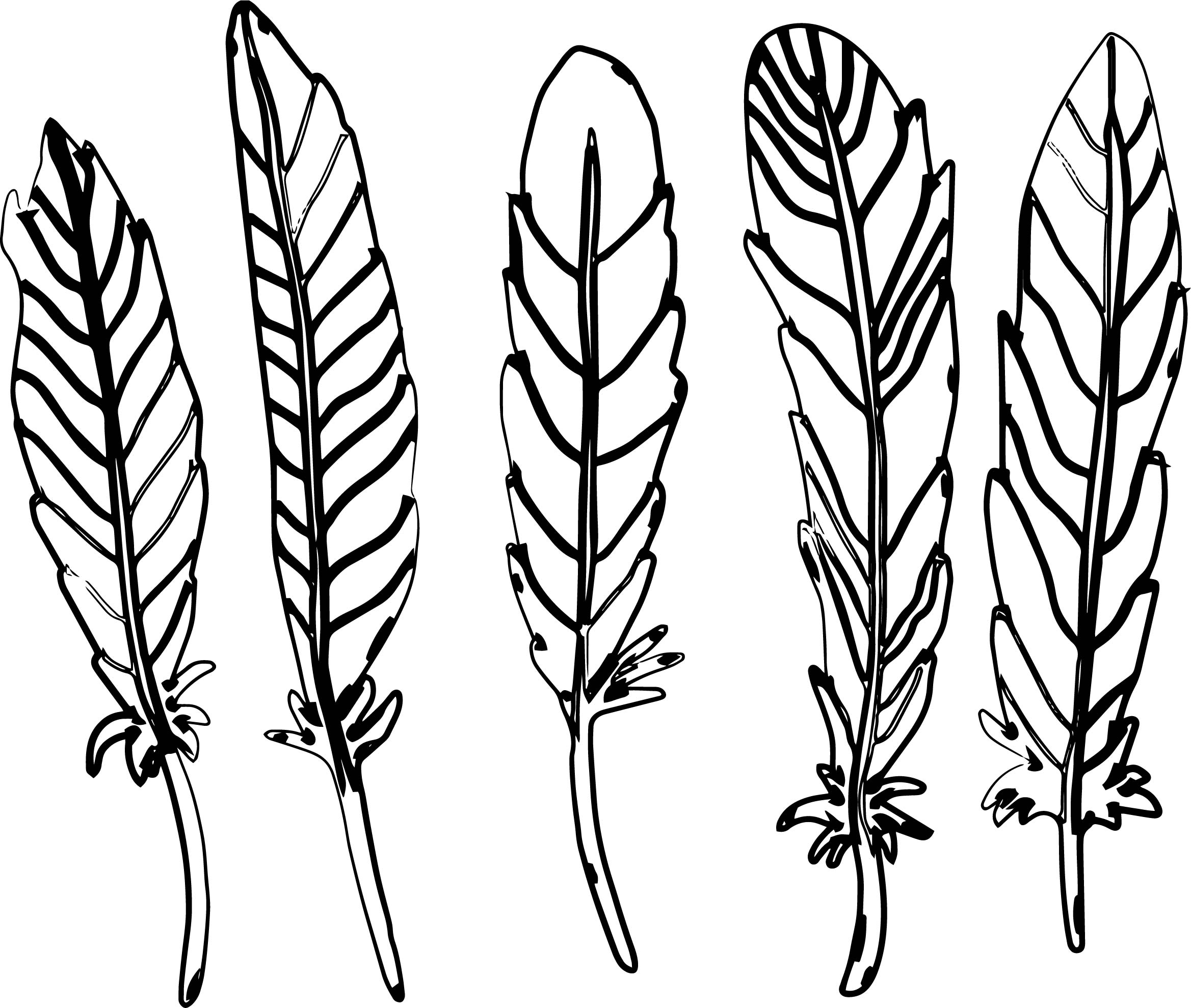 Feather Coloring Pages For Kids Coloring Pages