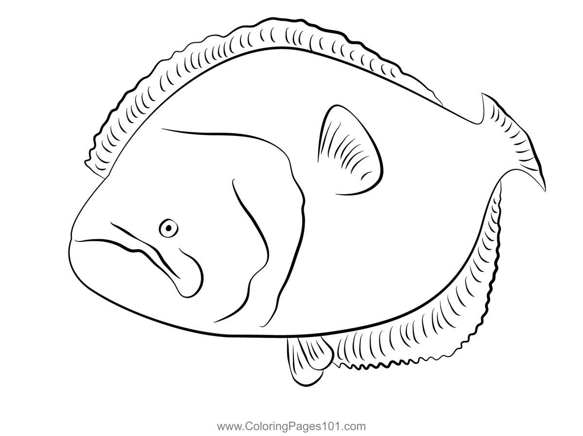 Flounder 1 Coloring Page For Kids Free Flounders Printable Coloring Pages Online For Kids
