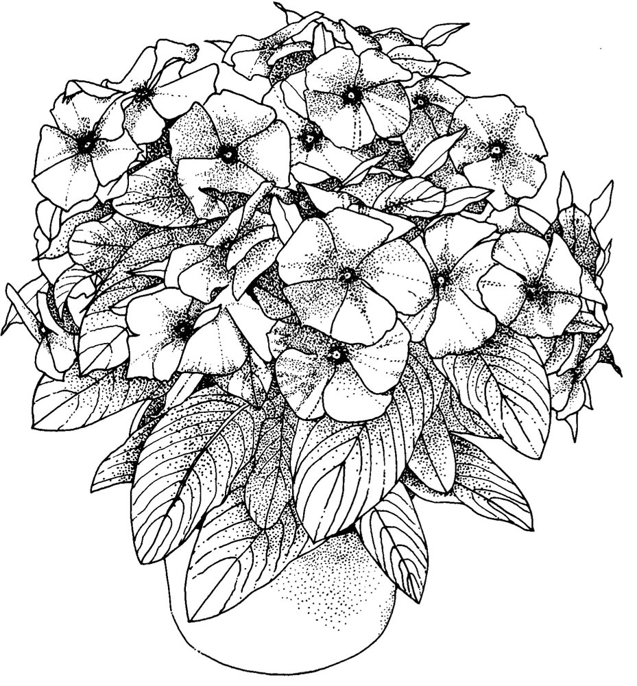 Printable Floral Coloring Pages
